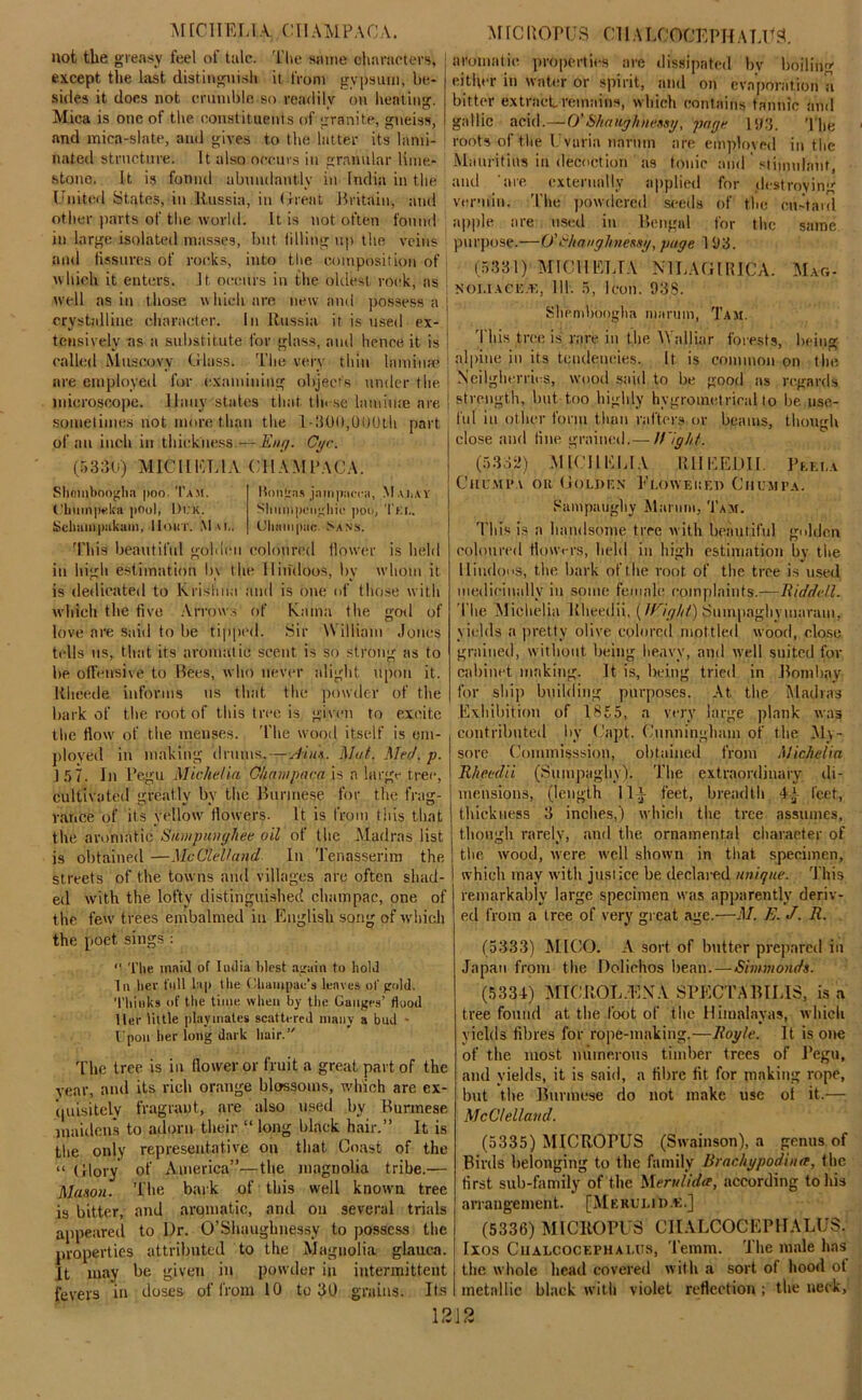 not the greasy feel of talc. Tl»e same characters, except the last distinguish it, from gvpsum, be- sides it does not crumble so readily on heating. Mica is one of the constituents of granite, gneiss, and mica-slate, and gives to the latter its lami- nated structure. It also occurs in granular lime- stone. It is fonnd abundantly in India in the United States, in Russia, in (treat Britain, and other parts of the world. It is not often found in large isolated masses, but tilling up the veins and fissures of rocks, into the composition of which it enters. It occurs in the oldest rock, as well as in those which are new and possess a crystalline character, in Russia it is used ex- tensively as a substitute for glass, ami hence it is aromatic properties are dissipated by boiling either in water or spirit, and on evaporation a bitter extract remains, which contains tannic and gallic acid.—O’Shaiigkneasy, page l‘J3. The roots of the Uvuria nnrnm are employed in the Mauritius in deception as tonic and stimulant, and are externally applied for destroying vermin. The powdered seeds of the cu-'tard apple are used in Bengal for the same purpose.—0'S/ianghnessy, gage 193. (5381)-MICH ELIA NTLAGlRIpA. Mag- noliacE/E, 111. 5, Icon. 938. Shemboogha alarum, T his tree is rare in the YValliar called Muscovy Glass, The very thin laminae alpine in its tendencies. It is are employed for examining objects under the microscope, llnuy states that tlnse laminae are sometimes not more than the 1-300,000th part of an inch in thickness — Eng. Oyc. (5330) MICH EL l A CllAMPACA. Sliomboogha poo. Tam. Ilongns jampiierii, Mai.ay Clmiripeka pool, Dt:K. Sliniitpoiigliio poo, Tee. Schampakam, Hour. AlAt.. Uliainpac .Sans. This beautiful golden coloured flower is held in high estimation by the Hindoos, by whom it is dedicated to Krishna and is one of those with which the five Arrows of Kama the god of love are said to be tipped. Sir William Jones tells us, that its aromatic scent is so strong as to be offensive to Bees, who never alight upon it. Rheede informs us that the powder of the bark of the root of this tree is given to excite the flow of the menses. The wood itself is em- ployed in making drums,—Ainu. Mat. Me//, p. 157. In Pegu Miclielia Chan/paea is a large tree, cultivated greatly by the Burmese for the frag- rance of its yellow flowers. It is from this that the aromatic Sain pun ghee oil of the Madras list is obtained —McClelland In Tenasserim the streets of the towns and villages are often shad- ed with the lofty distinguished champac, one of the few trees embalmed in English song of which the poet sings : “ The maid of India blest again to hold In her full lap the Ohampae’s leaves of gold. Thinks of the time when by the Gauges’ flood Her little playmates scattered many a bud - Upon her long dark hair.’' The tree is in (lower or fruit a great part of the year, and its rich orange blossoms, which are cx- (piisitely fragrant, are also used by Burmese maidens to adorn their “ long black hair.” It is the only representative on that Coast of the “ Glory of America”—the magnolia tribe.— Mason. The bark of this well known tree is bitter, and aromatic, and on several trials appeared to Dr. O’Shaughnessy to possess the properties attributed to the Magnolia glauca. It may be given in powder in intermittent fevers in doses of from 10 to 30 grains. Its Tam. forests, being common on the N'cilgherri. s, wood said to be good as regards strength, but too highly hygrometrieal to lie use- ful in other form than rafters or beams, though close and fine grained.—//Tgr///. (5332) MICH ELIA RHEEDII. Peela Chum pa or Golden Im.oweiied Cmumpa. Sampaughy Alarum, Tam. This is a handsome tree with beautiful golden coloured flowers, held in high estimation by the Hindoos, the bark of the root of the tree is used medicinally in some female complaints.—Riddell. The Miclielia Rheedii, (IVight) Sumpaghymaram, yields a pretty olive colored mottled wood, close grained, without being heavy, and well suited for cabinet making. It is, being tried in Bombay for ship building purposes. At the Madras Exhibition of 1855, a very large plank was contributed by Copt. Cunningham of the My- sore Commisssion, obtained from Miclielia Rheedii (Sumpaghy). The extraordinary di- mensions, (length 11} feet, breadth 4} feet, thickness 3 inches,) which the tree assumes, though rarely, and the ornamental character of the wood, were well shown in that specimen, which may with just ice be declared unique. T his remarkably large specimen was apparently deriv- ed from a tree of very great age.—M. E. J. R. (5333) MICO. A sort of butter prepared in Japan from the Doliehos bean.—Simmonds. (5334) MIOROL.EXA SPECTABILIS, is a tree found at the foot of the Himalayas, which yields fibres for rope-making.—Royle. It is one of the most numerous timber trees of Pegu, and yields, it is said, a fibre fit for making rope, but the Burmese do not make use ot it.— McClelland. (5335) MICROrUS (Swainson), a genus of Birds belonging to the family Brachypodinet, the first sub-family of the Merulida, according to Iris arrangement. [Mekulid.e.] (5336) MICROPUS CIIALCOCEPUALUS. Ixos Cualcoceph alus, Temm. The male has the whole head covered with a sort of hood ot metallic black with violet reflection ; the neck. 1212