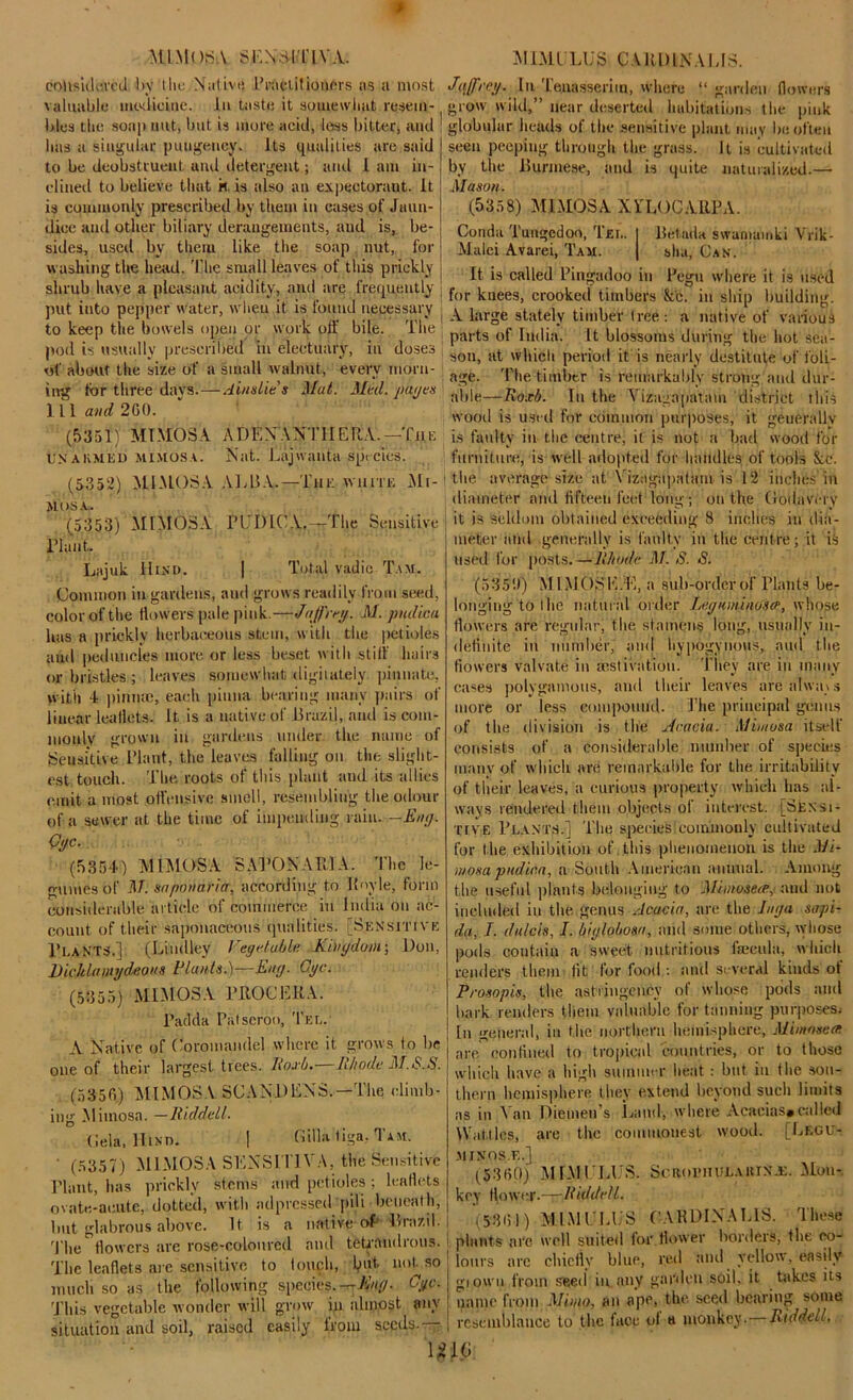 MIMOSA $ FA A IT IV A. considered 1 >y l lie NaiLvtj Practitioners as a most valuable medicine, lu taste it somewhat resem- bles the soa[> nut, but is more acid, lews bitter, and has a singular pungency. Its qualities are said to be deobstruent and detergent; and 1 am in- clined to believe that k is also an expectoraut. It is commonly prescribed by them in cases of Jaun- dice and other biliary derangements, and is, be- sides, used by them like the soap nut, for washing the head. The small leaves of this prickly shrub have a pleasant acidity, and are frequently put into pepper water, when it is found necessary to keep the bowels open or work off bile. The j pod is usually prescribed in electuary, in doses of about the size of a small walnut, every morn- ing for three days.—Aiudies Mat. Med.'pages' 111 and 260. (5351) MIMOSA ADEN*ANT1I ERA. —The ■ UNARMED mimosa. IS at. Lajwanta species. (5352) MIMOSA ALBA.—The white Mi- mosa. (5353) MIMOSA PUDICA.—The Sensitive riant. Lajuk Hind. | Total vadic Tam. Common in gardens, and grows readily from seed, color of the flowers pale pink.—JaflYeg. M. pudicu has a prickly herbaceous stem, with the petioles and peduncles more or less beset with stiff hairs or bristles ; leaves somewhat digiiately pinnate, with 1 pinnae, each pinna bearing many pairs of linear leaflets, it is a native of Brazil, and is com- monly grown in gardens under the name of Sensitive Plant, the leaves falling on the slight- est touch. The roots of this plant and its allies emit a most offensive smell, resembling the odour of a sewer at the time of impending l ain. —Eng. Qyc. (5354) MIMOSA SAPONARIA. The le- gumes of M. saponaria, according to Boyle, form considerable article of commerce in India on ac- count of their saponaceous qualities. [Sensitive Plants.] (Lindley Vegctukht Kingdom-, Don, DicJdawydeoiis Plants.)—Eny. Gyc. (5355) MIMOSA PROCERA. Padda Patseroo, Tee. A Native of Coromandel where it grows to be one of their largest trees, lioxb.—Rhode M.S.S. (535(5) MIMOSA SCA ADEN'S.—The climb- ing Mimosa. —Riddell. Gela, Hind. | Cilia tiga, Tam. ' (5357) MIMOSA SENSIT1VA, the Sensitive Plant, has prickly stems and petioles ; leaflets ovate-acute, dotted, with adpressed pib beneath, but glabrous above. It, is a native of' Brazil. The flowers are rose-coloured and tetraudrous. The leaflets are sensitive to touch, 1/ut got so much so as the following species. Cdc- This vegetable wonder will grow in almost any situation and soil, raised easily from seeds.— MLMULUS CAB DINA US. Jeffrey. In Tenasseriui, where “ garden flowers grow wild,” near deserted habitations the pink globular heads of the sensitive plant may be often seen peeping through the grass. It is cultivated by the Burmese, and is quite naturalized.— Mason. (5358) MIMOSA XV LOG A BP A. Conda Tungcdoo, Tee. I Betada swamamki Vrik- Malei Avarei, Tam. | slia, Can. It is called Pingadoo in Pegu where it is used for knees, crooked timbers &c. in ship building. A large stately timber tree : a native of various parts of India. It blossoms during the hot sea- son, at which period it is nearly destitute of foli- age. The timber is remarkably strong and dur- able—TLoxb. lu the Yizagnpatam district this wood is used for common purposes, it generally is faulty in the centre, it is not a bad wood for furniture, is well adopted for handles of tools See. the average size at \ izagapatam is 12 inches in diameter and fifteen feet long ; on the Goduvery it is seldom obtained exceeding 8 inches in dia- meter and generally is faulty in the centre; it is used for posts.—Rhode M. S. S. (5350) M1MOSE.E, a sub-order of Plants be- longing to l lie natural order Leguniinosa-, whose flowers are regular, the stamens long, usually in- definite in number, and hypogymms, aud the flowers valvate in aestivation. They are in many cases polygamous, and their leaves are always more or less compound. The principal genus of the division is the Acacia. Mimosa itself consists of a considerable number of species many of which are remarkable for the irritability of their leaves, a curious property which lias al- ways rendered them objects ol interest. [Sensi- tive Plants.] The species commonly cultivated for the exhibition of this phenomenon is the Mi- mosa pndica, a South American annual. Among the useful plants belonging to Mimoaedr^ and not included in the genus Acacia, are the Raja sapi- da, I. dutch, I. biylohosa, and some others, -whose pods contain a sweet nutritious flecula, which renders them lit for food : and several kinds ot Prosopis, the astringeney of whose pods and bark renders them valuable for tanning purposes- In general, in the northern hemisphere, Mimoseet are confined to tropical countries, or to those which have a high summer heat : but in tlie sou- thern hemisphere they extend beyond such limits as in Van Diemen’s Land, where Acacias# cal led Wattles, are the commonest wood. [Lf.gu- MINOS-F..] (5330) MEMPHIS. Scrobhujeaiiinje. Mon- key flower.— Riddell. (53(51) Ml MULLS CARDINAL1S. These plants are well suited for flower borders, the co- lours are chiefly blue, red and yellow, easily giowti from seed in any garden soil, it takes its name from Mi mo, an ape, the seed bearing some resemblance to the face ol a monkey.—Riddell.