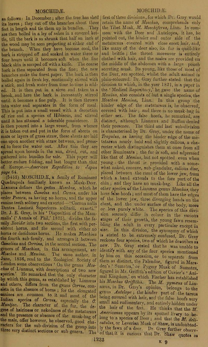 as follows : In December; after the tree has shed its leaves ; they cut off the branches about three feet in length and tie them up in bundles. They are then boiled in a ley of ashes in a covered ket- tle, till the bark is so shrunk that half an inch of the wood may be seen projecting at either end of the branch. When they have become cool, the bark is stripped off and soaked in water three or four hours until it becomes soft when the line black skin is scraped off with a knife. The coarse bark is then separated from the fine ; the new branches make the finest paper. The bark is then boiled again in fresh ley, continually stirred with a stick; and fresh water from time to time is add- ed. It is then put in a sieve and taken to a brook, aud here the bark is incessantly stirred until it becomes a fine pulp. It is then thrown into water and separates in the form of meal This is put into a small vessel with a decoction of rice and a species of Hibiscus, and stirred until it has attained a tolerable consistence. It is then poured into a large vessel, from whence it is taken out and put in the form of sheets on mats or layers of grass straw, these sheets are laid one upon another with straw between, and press- ed to force the water out. After this they are spread upon boards in the sun, dried, cut, and gathered into bundles for sale. This paper will better endure folding, and last longer than that of Europe.—American Expedition to Japan page 64. (5452) MOSCHIDiE, a family of Ruminant Quadrupeds familiarly known as Musk-Deer. Linnaeus defines the genus Mosckus, which he places between Gamelus and Cervus, under his order Pecora, as having no horns, and the upper canine teeth solitary and exserted—“Cornua nulla Dentes Laniarii Superiores solitarii, exserti.” Dr. J. E. Gray, in his ' Disposition of the Mam- malia’ (‘ Annals of Phil,’ 1825), divides the fa- mily Povidce into two sections, the first with per- sistent horns, and the second with either no horns or deciduous horns. He makes Moschina the fourth sub-family, and arranges it between Gamelina and Oervina, in the second section. The genera of Moschina, in this arrangement, are Mosckus and Mcmina. The same author, in June, 1836, read to the Zoological Society of London some observations ‘ On the genus Mos- chus of ^Linnaeus, with descriptions of two new species. He remarked that the only character by which this genus, as established by Linmeus and others, differs from the genus Gervus, con- sists in the absence of horns ; for the elongated oanines are common to it and most of the Indian species of Cervm, especially the G. Muntjac. The character of the fur,' the de- gree of hairiness or nakedness of the metatarsus and the presence or absence of the musk-bag of the male, offer however, he observed, good Cha- racters for the sub division of the group into three very distinct sections or sub genera. The first of these div/sions, for which Dr. Gray would retain the name of Mosckus, comprehends only the Tibet Musk, M. Moschiferus, Linn. In com- mon with the Deer and Antelopes, it has, lie pointed out, the hinder and outer side of the metatarsus covered witli close erect hair, and, like many of the deer also, its fur is quill-like and brittle ; the throat moreover is entirely clothed with hair, and the males are provided on the middle of the abdomen with a large pouch secreting musk. Its young, like those of most of the Deer, are spotted, whilst the adult animal is plain-coloured. Dr. Gray further stated that the division to which, in the year 1 821, in a paper in the ‘ Medical Repository,’ he gave the name of Memina, also consists of but a single species, tbe Mosckus Memina, Linn. In this group the hinder edge of the metatarsus is, he observed, covered with hair; and there is no musk-bag in either sex. The false hoofs, he remarked, are distinct, although Linnaeus and Buffon denied their presence. The third and last sub-division is characterised by Dr. Gray, under the name of Tragulus, as having the hinder edge of the me- tatarsus nearly bald and slightly callous, a cha- racter which distinguishes them at once from all other Ruminants ; the fur is soft, and adpressed like that of Memina, but not spotted even when young : the throat is provided with a some- what naked, concave, sub-glandular, callous disc, placed between the rami of the lower jaw, from which a band extends to the fore part of the chin ; and they have no musk-bag. Like all the other species of the Linnsean genus Mosckus, they have false hoofs ; and most of them have the edo-es of the lower jaw, throe diverging bands on the chest, and the under surface of the body, more or less purely white. The species of this divi- sion scarcely differ in colour in the various stages of their growth, the young fawn resem- bling the adult in every particular except in size. In this division, the synonymy of which is stated to be extremely confused, Dr. Gray reckons four species, two of which he describes as new. Dr. Gray stated that he was unable to identify with any of the four species mentioned by him on this occasion, or to separate from them as distinct, the Palendoc, figured in Mara- den’s ‘ Sumatra,’ or Pygmy Musk of Sumatra figured in Mr. Griffith’s edition of Cuvier’s ‘ Ani- mal Kingdom,’ on which Fischer has established his Mosckus Griffitkii. The M. pymeeus of Lin- naeus, in Dr. Gray’s opinion, belongs to the genus Antelope ; the hinder part of the tarsus being covered with hair, and the false hoofs very small and rudimentary, and entirely hidden under the hair of the feet. He thinks that the M. Americanus appears by its spotted livery to be- long to a species of Deer ; and that the M. deli- catulus, or Leverian Musk of Shaw, is undoubted- ly the fawn of a deer. Dr. Gray further observ- ed that it is curious that Dr. Shaw quotes as