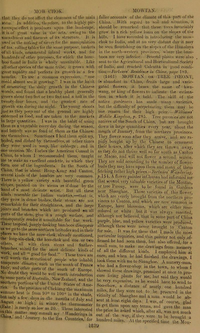 MOW ClIOK. that they do not affect the cleanness ol the main stem. Jn addition, therefore, to the highly pic- turesque elFeel it produces upon the landscape, it is of great value in the arts, owing to the smoothness and fineness of its structure. It is used in the making of sieves for the manipulation of tea, rolling tables for the same purpose, baskets of all kinds, ornamental inland works, and for hundreds of other purposes, for which the bam- boo found in India is wholly unsuitable. Like all other species of the same tribe, it grows with great rapidity and perfects its growth in a few months. To use a common expression, one could almost see it growing.” 1 was in the habit of measuring the daily growth in the Chinese woods, and found that a healthy plant generally grows about two feet or two feet and a lialfin the twenty-four hours, and the greatest rate of growth was during the night. The young shoots just as they peep out of the ground are highly esteemed as food, and are taken to the markets in large quantities. I was in the habit of using them as a vegetable everyday during the season, and latterly was as fond of them as the Chinese are themselves. Sometimes 1 lmd them split up, boiled, and dished by themselves, at other times they were used in soup, like cabbage; and in one occasion Mr. Forbes the American Consul in China, to whom I recommended them, taught me to make an excellent omelette, in which tliey form one of the ingredients. In the South of China, that is about liong-Kong and Canton, several kinds of t he bamboo are very common. 'J here is a yellow variety with beautiful green stripes, painted on its stems as if done by the hand of a most delicate artist. But all these kinds resemble the Indian varieties,—that is, they grow in dense bushes, their stems are not remarkable tor their straightness, and the large joints and branches which aro produced en all parts ot the stem, give it a rough surface, and consequently render it unsuitable for tine work, iliese tropical, jungly-looking bamboos disappear as we go to the more northern latitudes and in their places we have the mow-chok, already mentioned, the loug-sin-chok, the hoo-chok and one or two others, • all with clean stems and feather- branches, suited for the most delicate kinds of work, and all “ good for food.” These trees are well worth the attention of people who inhabit temperate climates, such ns the south of France Italy and other parts of the south of Europe. -\o doubt they would he well worth introduction to some parts of A ustralia, New Zealand, and the southern portions of the United States of Ame- rica. la the province of Chekiang the maximum summer heat is from 90° to 100° in the shade, Imt only a few days in the months of July and August so high; in winter the thermometer U'ahr.) is rarely so low as 20. Those interested mUns, matter may consult my ‘ Wanderings in Uuna> and ‘Journey to the Tea Countries,’ for MOWTAN. fuller accounts of the climate of this part of the China. With regard to soil and situation, it should be remarked that these trees invariably grow in a rich yellow loam on the slopes ot the hills. I have succeded in introducing the mow- chok to India, and at no very distant day it mav be seen nourishing on t he slopes of the Himalaya in the north-western provinces, where the bam- boos are very inferior. Several plants were also sent to the Agricultural ami Horticultural Society of India, and reached Calcutta in good condi- tion—Fortunes’ Residence in China, pa ye 189. (5-161) MOWTAN or TREE BOSON Y, is abundant in China, fruits large and varie- gated dowers, it bears the name of hwa- wang, or king of flowers to indicate the estima- tion in which it is held. The skill of the native gardeners has made many varieties, but the difficulty of perpetuating them may be one reason for their high price. — Jfll/'iams’ Middle kingdom, p. 285. 'lree pceonies are not. natives of the South of China, but arc brought down in large quantities every year, about the month ot January, from the northern provinces. They flower soon after they arrive, and are ra- pidly bought up by the Chinese to ornament their houses, after which they are thrown away, as they do not thrive well so fur south as Canton or Macao, and will not flower a second season. They are sold according to the number of flower- buds they may have upon them and many of them fetching rather high prices.—T'orlunes’ If cindering, ;j.15 1. A flower painter inChusau had informed me- that several very valuable varieties of the Moutan, or tree Poeony, were to be found in Cardens near Shanghae. Those varieties of this flower, which are \early brought from the northern pro- vinces to Canton, and which are now common in Europe, have blossoms, which arc either rose- coloied or white : but it was always asserted, although not believed, that in some part of China pui pie, blue, and yellow varieties were produced, although these were never brought to Canton foi sale. It was for these that 1 made the most particular inquiries, and this painter not only af- firmed he had seen them, but also offered, for a small sum, to make me drawings from memory of all the different kinds. 1 employed him at once, and when lie had finished the drawings, 1 took them with me to Shanghae. A nursery-man, who had a flower-shop in'the town, to whom 1 showed these drawings, promised at once to pro- cure living plants for me, but said they would be very expensive, as lie would have to send to boo-chow, a distance of nearly one hundred niiles, for they were not to be procured in the vicinity of Shanghae and a man would be ab- sent at least eight days. I was, of course, glad to get them upon any terms, and gave the man the price he asked which, after all, was not much out of the way, if they were to be brought a hundred miles. At the specified time the Mou- u