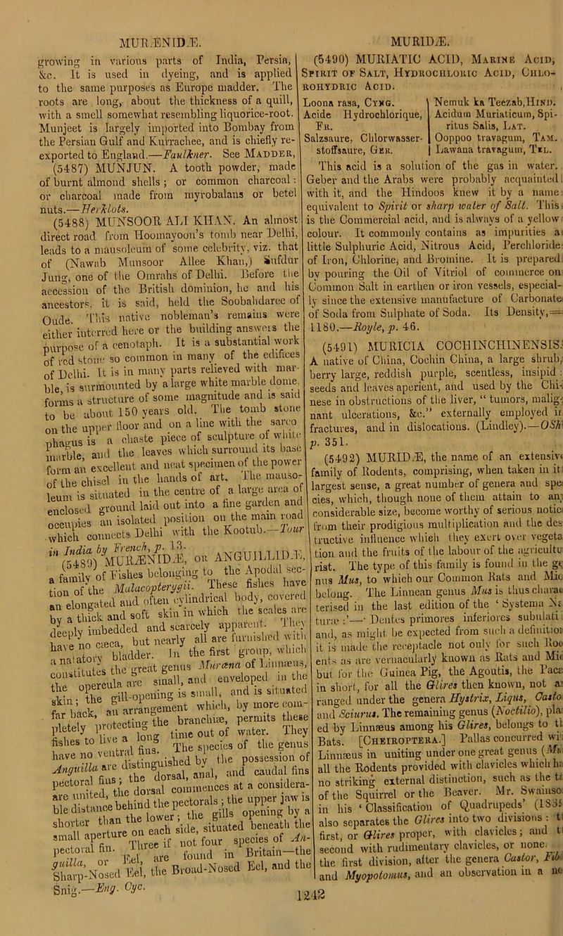 MUR.ENID.E. growing in various parts of India, Persia, &c. It is used in dyeing, and is applied to the same purposes as Europe madder. The roots are long, about the thickness of a quill, with a smell somewhat resembling liquorice-root. Munjeet is largely imported into Bombay from the Persian Gulf and KuVrachee, and is chiefly re- exported to England.—Faulkner. See Madder, (5487) MUNJUN. A tooth powder, made of burnt almond shells ; or common charcoal: or charcoal made from myrobalans or betel nuts.—Herklots. (5488) MUNSOOR ATT KHAN'. An almost direct road from Hoomayoon’s tomb near Delhi, leads to a mausoleum of some celebrity, viz. that of (Nawnb Munsoor Allee Khan,) Sufdur Jung, one of the Omrahs of Delhi. Before the accession of the. British dominion, he and his ancestors, it is said, held the Soobahdaree of Oude This native nobleman’s remains were either interred here or the building answeis the purpose of a cenotaph. It is a substantial work of red stone so common in many of the edifices of Delhi U is in many parts relieved with mar- ble is surmounted by a large white marble dome forms a structure of some magnitude and is sau to be about 150 years old. The tomb stone on the upper floor and on a line with the sarco pha ms is a chaste piece of sculpture of wlnt „-,rble and the leaves which surround its base form an excellent and neat specimen of the power of the chisel in the hands of art. 1 he mauso- leum is situated in the centre of a large area of enclosed ground laid out into a hue garden and occupies an isolated position on the main road which connects Delhi with the Kootub.—lour in India by French, p■ 1 8- -._,TTr, T , n v (54811) MUR/EN1D-E, or AN GUILE n « family of Eishes belonging to the Apodal sec- tion of‘the Malucopterygii- These fishes have 1 elongated and often cylindrical body, covered , p, _ 1 cl-In in which the scales are MU RULE. (5490) MURIATIC ACID, Marine Acid, Spirit of Salt, Hydrochloric Acid, Ciilo- rohydric Acid. Loona rasa, Cyhg. Nemuk ka Teezab.HiNi). Acidum Muriaticum, Spi- Acide Ilydrochlorique, Er. Salzsaure, Chlorwasser- stoffsaure, Gek. ritus Salis, Lat. Ooppoo travagum, Tam. Lawana travagum, Til. This acid is a solution of the gas in water. Geber and the Arabs were probably acquainted 1 with it, and the Hindoos knew it by a name: equivalent to Spirit or sharp water of Salt. This is the Commercial acid, and is always of a yellow colour. It commonly contains as impurities a. little Sulphuric Acid, Nitrous Acid, Perchloride of Iron, Chlorine, and Bromine. It is prepared, bv pouring the Oil of Vitriol of commerce on Common Salt in earthen or iron vessels, especial- ly since the extensive manufacture of Carbonate! of Soda from Sulphate of Soda. Its Density, == 1180.—Royle,p. 46. (5491) MU MCI A COCHINCHINENSIS- A native of China, Cochin China, a large shrub, berry large, reddish purple, scentless, insipid : seeds and leaves aperient, and used by the Chi-i nese in obstructions of the liver, “ tumors, malig- nant ulcerations, &o.” externally employed ii fractures, and in dislocations. (Lindley).—OS/r v. 351. (5492) MURID.E, the name of an extensivt family of Rodents, comprising, when taken in it largest sense, a great number of genera and spe< cies, which, though none of them attain to an; akin in which imbedded and scarcely apparent. limy deeply nearly all are furnished will taVe,In WadS the first group, whicl na, •.the great genus Mur ana ot Linmeus, fte onercula are small, and enveloped n> the kin- the gill-opening is small, and is situated 11,'ack. a» arrangement whM>, kjMnore com- =.ts £ k 1 y,QSTa long time oat of water. They fishes to i s 1 S The species of the genus have no ventral nns i , possession of pectoral fins , th (;uces at a considera- uC Hbehind the pectorals ; the upper jaw is ble distance oeninu i opening by a thaw ‘^ride, sifuated heneatl, the small aperture on f r SJ?ecies of An- pectoral fin. 1 >'« d ”foa|1(1 in Britain tile guilla, or Eel, ai ^ , xr _„j t?,,i *nr1 t.lip. Slimp-Noaed 15ei, the Broad-Noeod Eel, and the Snig. -Eng. Cyc 12 WAVtJJ *****-w”> O . . ' considerable size, become worthy of serious notie- from their prodigious multiplication and the des tractive influence which they exert over vegeta Lion and the fruits of the labour of the agricultu rist. The type of this family is found in the gt; nns Mus, to which our Common Rats and Mu. belong. The Linnean genus Mus is Lhuscharau terised m the last edition of the ‘ by sterna Ni tul.;i.—• Dentes primores ihferiorcs subulati, and, as might be expected from such a definitioi it is made the receptacle not only l'or such Roo eni s as are vernacularly known as Rats and Mir but l'or the Guinea Pig, the Agoutis, the Fact in short, for all the Gil ires then known, not or ranged under the genera Hystrix, Liqus, Casio and Sciurus. The remaining genus (A octilio), pla ed by Linnaeus among his Glires, belongs to ti Bats. [Cheiroptera.] Pallas concurred wi. Linnaeus in uniting under one great genus {Mi all the Rodents provided with clavicles which hi no striking external distinction, such as the t. of the Squirrel or the Beaver. Mr. Swamso. in his ‘Classification of Quadrupeds’ (ISoi also separates the Glires into two divisions : ti first, or Glires proper, with clavicles; and ti second with rudimentary clavicles, or none- the first division, alter the genera Castor, FUk and Myopotomus, and an observation in a at 12