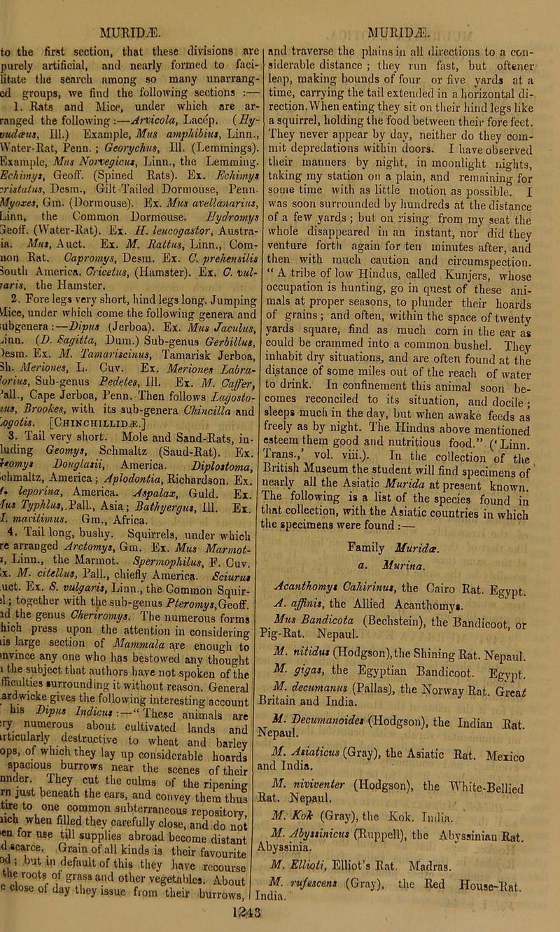 in. non MUEID/E. to the first section, that these divisions are purely artificial, and nearly formed to faci- litate the search among so many unarrang- ed groups, we find the following sections :— 1. Eats and Mice, under which are ar- ranged the following :—Arvicola, Lacep. (By vudaus, 111.) Example, Mus amphibius, Linn., Water-Eat, Penn.; Georychits, 111. (Lemmings). Example, Mus Norvegicus, Linn., the Lemming Echimys, Geoff. (Spined Eats). Ex. Echimys :ristutus, Desm., Gilt-Tailed Dormouse, Penn. Myoxes, Gm. (Dormouse). Ex. Mus avellanarius, Linn, the Common Dormouse. Bydromys 3eolf. (Water-Eat). Ex. H. leucogastor, Austra Mus, Auct. Ex. M. Battus, Linn., Com- Eat. Capromys, Desm. Ex. C. preliensilis south America. Gricetus, (Hamster). Ex. C. t>ul- raris, the Hamster. 2. Fore legs very short, hind legs long. Jumping '•lice, under which come the following genera and iubgenera :—Dipus (Jerboa). Ex. Mus Jaculus, jinn. (1). Sagitta, Dum.) Sub-genus Gerbillus, Jesm. Ex. M. Tamariscinus, Tamarisk Jerboa, 3h. Meriones, L. Cuv. Ex. Meriones Labra- dor ins, Sub-genus Pedetes, 111. Ex. M. Gaffer, -’all., Cape Jerboa, Penn. Then follows Lagosto- ius, Brookes, with its sub-genera Cldncilla and \ogotis. [CHINCHILLIDiE.] 3. Tail very short. Mole and Sand-Eats, in- luding Geomys, Schmaltz (Saud-Eat). Ex. reomys Douglasii, America. Diplostoma, ichmaltz, America : Aplodontia, Eichardson. Ex. f. leporina, America. Aspalax, Guld. Ex. Jus Typhlus,,Pall., Asia; Bathyergus, 111. Ex. I. maritimus. Gm., Africa. 4. Tail long, bushy. Squirrels, under which re arranged Arctomys, Gm. Ex. Mus Marmot- j, Linn., the Marmot. Spermophilus, F. Cuv. lx. M. cdellus, Pall., chiefly America. Sciurus uct. Lx. S. vulgaris, Linn., the Common Squir- :1; together with the sub-genus Pteromys,Geoff. id the genus Cheriromys. I he numerous forms hich pi ess upon the attention in considering ‘is large section of Mammala are enough to mvince any one who has bestowed any thought l the subject that authors have not spoken of the fficulties surrounding it without reason. General .ardwicke gives the following interesting account his I)ipus Indicus :—“ These animals are sry numerous about cultivated lands and irticularly destructive to wheat and barley ops, of which they lay up considerable hoards spacious burrows near the scenes of their nnder -They cut the culms of the ripening rn just beneath the ears, and convey them thus tire to one common subterraneous repository nch when filled they carefully close, and do not 'en for use till supplies abroad become distant d scarce. . Grain of all kinds is their favourite od; but in default of this they have recourse me roots oi grass and other vegetables. About e close of day they issue from their burrows, MUEIDiE. and traverse the plains in all directions to a con- siderable distance ; they run fast, but oftener leap, making bounds of four or five yards at a time, carrying the tail extended in a horizontal di- rection. When eating they sit on their hind legs like a squirrel, holding the food between their fore feet. They never appear by day, neither do they com- mit depredations within doors. I have observed their manners by night, in moonlight nights, taking my station on a plain, and remaining for some time with as little motion as possible. I was soon surrounded by hundreds at the distance of a few yards ; but on rising from my seat the whole disappeared in an instant, nor did they venture forth again for ten minutes after, and then with much caution and circumspection. “ A tribe of low Hindus, called Kunjers, whose occupation is hunting, go in quest of these ani- mals at proper seasons, to plunder their hoards of grains ; and often, within the space of twenty yards square, find as much corn in the ear as could be crammed into a common bushel. They inhabit dry situations, and are often found at the distance of some miles out of the reach of water to drink. In confinement this animal soon be- comes reconciled to its situation, and docile; sleeps much in the day, but when awake feeds as freely as by night. The Hindus above mentioned esteem them good and nutritious food.” (‘Linn. Trans.,’ vol. viii.). In the collection of the British Museum the student will find specimens of' nearly all the Asiatic Murida at present known. The following is a list of the species found in that collection, with the Asiatic countries in which the specimens were found :— Family Murida. a. Murina. Acanthomys Cahirinut, the Cairo Eat. Egypt. A. affinis, the Allied Acanthomys. Mus Bandicota (Bechstein), the Bandicoot or Pig-Eat. Nepaul. M. nitidus (Hodgson),the Shining Eat. Nepaul. M. gigas, the Egyptian Bandicoot. Egypt. M. decumanus (Pallas), the Norway Eat. Grearf Britain and India. M. Decumanoides (Hodgson), the Indian Eat Nepaul. M. Asiaticus (Gray), the Asiatic Eat. Mexico and India. M. niviventer (Hodgson), the White-Bellied Eat. Nepaul. M. Kok (Gray), the Kok. India. M. Abyssinicus (Euppell), the Abyssinian Eat. Abyssinia. M. Ellioti, Elliot’s Eat. Madras. M. ru/escens (Gray), the Eed House-Eat. India.