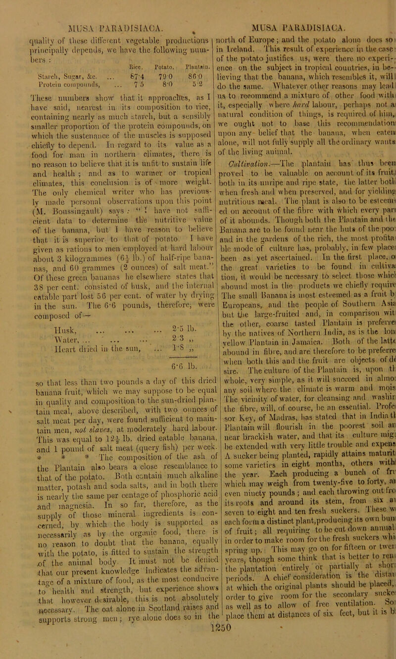 MUSA l’ARA 1)131 AC A. quality of these different vegetable productions 1 J O l principally depends, we have the following num- bers MUSA PARADISlACA. north of Europe ; and the potato alone does so Rice. Potato. riimUiu. Starch, Sugar, &c. 674 79 0 8 GO Protein compounds, ... 7 5 8-0 52 These numbers show that it approaches, as I have said, nearest in its composition to vice, containing nearly as much starch, but a sensibly smaller proportion of the protein compounds, on which the sustenance of the muscles is supposed chiefly to depend. In regard to its value as a food for man in northern climates, there is no reason to believe that it is unfit to sustain life and health ; and as to warmer or tropical climates, this conclusion is of more weight. The only chemical writer who has previous- ly made personal observations upon this point (M. Boussingault) says : “ T have not suffi- cient data to determine the nutritive value of the banana, but I have reason to believe that it is superior to that of potato. I have given as rations to men employed at hard labour about 3 kilogrammes (Gi lb.) of half-ripe bana- nas, and 60 grammes (2 ounces) of salt meat.” Of these green bananas he elsewhere states that 38 per cent, consisted of husk, and the internal eatable part lost 56 per cent, of water by drying- in the sun. The 6-6 pounds, therefore, were composed of— I * i — i — - in Ireland. This result of experience ip the case of the potato justifies us, were there no experi— 1 t I i ence on the subject in tropical countries, in be- lieving that the banana, which resembles it, will! do the same. Whatever other reasons may lead us to recommend a mixture of other food with it, especially where hard labour, perhaps not a natural condition of tilings, is required of him, we ought not to base this recommendation upon any belief that the banana, when eaten alone, will not fully supply all the ordinary wants of the living animal. Husk, Water, ... ... Heart dried in the sun. 2-5 23 1-S lb. 6*6 lb. so that less than two pounds a day of this dried banana fruit, which we may suppose to be equal in quality and composition to the sun-dried plan- tain meal, above described, with two ounces of salt meat per day, were found sufficient to main- tain men, nol slaves, at moderately hard labour. This was equal to 12-- lb. dried eatable banana, and 1 pound of salt meat (query fish) per week. ■* * * The composition ot the ash of the Plantain also bears a close resemblance to that of the potato. Both contain much alkaline matter, potash and soda salts, and in both there is nearly the same per centage of phosphoric acid and magnesia. In so far, therefore, as the supply of those mineral ingredients is con- cerned, by which the body is supported as necessarily as by the organic food, tlieie is no reason to doubt that the banana, equally with the potato, is fitted to sustain the strength of the animal body. It must not be denied .that our present knowledge indicates the advan- tage of a mixture of food, as the most conducive to° health and strength, but experience shows that however desirable, this is not absolutely necessary. The oat alone in Scotland raises and supports strong men ; rye alone does so in the Cultivation.—The plantain has thus been proved to be valuable on account of its fruiti both in its unripe and ripe state, the latter both when fresh and when preserved, and for yielding nutritious meal. The plant is also to be esteem- ed on account of the fibre with which every pan of it abounds. Though both the Plantain and the Banana are to be found near the huts of the poo and in the gardens of the rich, the most profita ble mode of culture has, probably, in few place: been as yet ascertained. In the first place, o the great varieties to be found in cultiva tion, it would be necessary to select those whicl abound most in the products we chiefly require The small Banana is most esteemed as a fruit b Europeans, and the people of Southern Asia but the large-fruited and, in comparison wit the other, coarse tasted Plantain is preferre- by the natives of Northern India, as is the Ion yellow Plantain in Jamaica. Both of the lnttt abound in fibre, and are therefore to be preferre when both this and the fruit are objects of dd sire. The culture of the Plantain is, upon tl whole, very simple, as it will succeed in almo, any soil where the climate is warm and mois The vicinity of water, for cleansing and washir the fibre, will, of course, be an essential. Profe sor Key, of Madras, has stated that in India tl Plantain will flourish in the poorest soil ar near brackish water, and that its culture mig. be extended with very little trouble and expen; A sucker being planted, rapidly attains maturit some varieties in eight months, others withi the year. Each producing a bunch of fri which may weigh from twenty-five to forty, ai even ninety pounds; and each throwing out In its roots and around its stem, from six a seven to eight and ten fresh suckers, lhese w each form a distinct plant,producing its own bun of fruit; all requiring to be cut down annual in order to make room for the fresh suckers win spring up. This may go on for filteen or twei years, though some think that is better to ren the plantation entirely or partially at shor periods. A chief consideration is the distai at which the original plants should be placed, order to give room tor the secondaiy sue: e as well as to allow of free ventilation, bo place them at distances of six feet, but it is b 1250 I