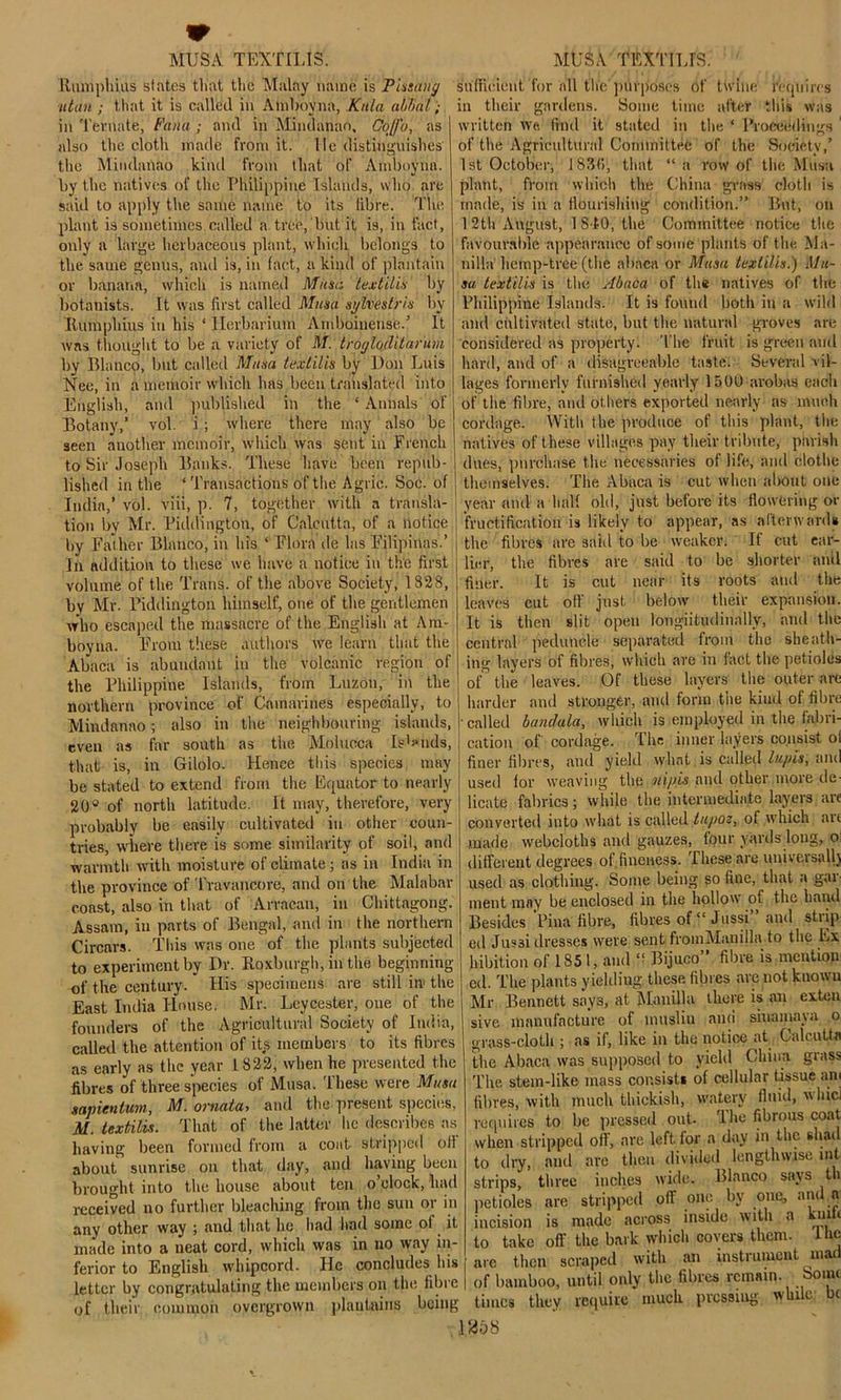 llumphius states that the Malay name is Pissang titan ; that it is called in Amboyna, Kula abba/,- in Termite, Fan a ,- and in Mindanao, GoJ/’o, as also the cloth made from it. He distinguishes the Mindanao kind from that of Amboyna. by the natives of the Philippine Islands, who are said to apply the same name to its libre. The plant is sometimes called a tree, but it is, in fact, only a large herbaceous plant, which belongs to the same genus, and is, in fact, a kind of plantain or banana, which is named Musa lex til is by botanists. It was first called Musa sylvestris by llumphius in his ‘ Herbarium Amboinense.’ It was thought to be a variety of M. trogloditarum by Blanco, but called Musa textilis by Hon Luis Nee, in a memoir which has been translated into English, and published in the ‘ Annals' of Botany,’ vol. i; where there may also be seen another memoir, which was sent in French to Sir Joseph Banks. These have been repub- lished in the ‘ Transactions of the Agrie. Soc. of India,’ vol. viii, p. 7, together with a transla- tion by Mr. Piddington, of Calcutta, of a notice by Father Blanco, in his ‘ Flora de las Pilipinas.’ In addition to these we have a notice in the first volume of the Trans, of the above Society, 1328, by Mr. Piddington himself, one of the gentlemen who escaped the massacre of the English at Am- boyna. From these authors we learn that the Abaca is abundant in the volcanic region of the Philippine Islands, from Luzon, in the northern province of Camavines especially, to Mindanao; also in the neighbouring islands, even as far south as the Molucca Is>*nds, that is, in Gilolo. Hence this species may be stated to extend from the Equator to nearly 20° of north latitude. It may, therefore, very probably be easily cultivated in other coun- tries, where there is some similarity of soil, and warmth with moisture of climate ; as in India in the province of Travancore, and on the Malabar coast, also in that of Arracan, in Chittagong. Assam, in parts of Bengal, and in the northern Circars. This was one of the plants subjected to experiment by Dr. Roxburgh, in the beginning of the century. His specimens are still in the East India House. Mr. Lcycester, one of the founders of the Agricultural Society of India, called the attention of its members to its fibres as early as the year 1822, when he presented the fibres of three species of Musa, 'these were Musa sapienlum, M. ovnatets and the present species, M. textilis. That of the latter he describes as having been formed from a coat stripped oil about sunrise on that day, and having been brought into the house about ten o’clock, had received no further bleaching from the sun or in any other way ; and that he had had some ol it made into a neat cord, which was in no way in- ferior to English whipcord. He concludes his letter by congratulating the members on the fibre of their common overgrown plantains being sufficient for all flic'purposes of twine requires in their gardens. Some time after this was written we find it stated in the ‘ Proceedings ‘ of the Agricultural Committee of the Society,’ 1st October, 183(1, that “a row of the Musa plant, from which the China grass cloth is made, is in a flourishing condition.” But, on 12th August, 1810, the Committee notice the favourable appearance of some plants of the Ma- nilla hemp-tree (the abaca or Mum textilis.) Mu- su textilis is the Abaca of the natives of the Philippine Islands. It is found both in a wild and cultivated state, but the natural groves are considered as property. The fruit is green and hard, and of a disagreeable taste. Several vil- lages formerly furnished yearly 1500 arobas each of the fibre, and others exported nearly ns much cordage. With the produce of this plant, the natives of these villages pay their tribute, parish dues, purchase the necessaries of life, and clothe themselves. The Abaca is cut when about one year and a hall old, just before its flowering or fructification is likely to appear, as afterwards the fibres are said to be weaker. If cut ear- lier, the fibres are said to be shorter and finer. It is cut near its roots and the leaves cut off just, below their expansion. It is then slit open longitudinally, and the central peduncle separated from the sheath- ing layers of fibres, which are in fact the petioles of the leaves. Of these layers' the outer are harder and stronger, and form tiie kind of fibre ■ called bandala, which is employed in the fabri- cation of cordage. The inner layers consist ol finer fibres, and yield what is called lupis, and used for weaving the nipis and other more de- licate fabrics; while the intermediate layers are converted into what is called lupoz, of which arc made webcloths and gauzes, four yards long, o different degrees of ,fineness. These are universal!) used as clothing. Some being so fine, that a gar- ment may be enclosed in the hollow of the hand Besides Pina fibre, fibres of “ Jussi” and strip ed Jimi dresses were sent fromManilla to the Ex hibition of 1851, and “ Bijuco” fibre is mention ed. The plants yielding these fibres are not knowu Mr Bennett says, at Manilla there is an exten sive manufacture of muslin and siuamaya o grass-cloth ; as if, like in the notice at Calcutta the Abaca was supposed to yield China grass The stem-like mass consists of cellular tissue am fibres, with much thickish, watery fluid, whici requires to be pressed out. The fibrous coat when stripped off, are left for a day in the shad to dry, and arc then divided lengthwise mt strips, three inches wide. Blanco says th petioles are stripped off one by one, and a incision is made across inside with a km t to take off the bark which covers them, the are then scraped with an instrument mad of bamboo, until only the fibres remain, borne times they require much pressing while be 268
