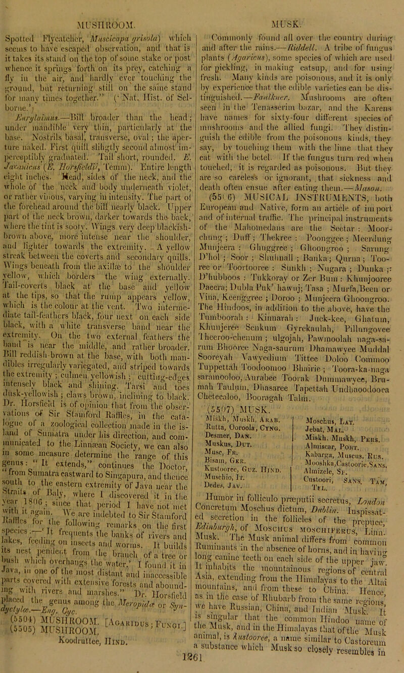 MUSHROOM. Spotted Flycatcher, Muscicapa grisold) which seems to have escaped observation, and that is it takes its stand on the top of some stake or post whence it springs forth on its prey, catching a fly in the air, and hardly ever touching the ground, but returning' still on the same stand for many times together.” ( Nat. Hist, of Scl- borne.’j Eurylaimus.—Bill broader than the head; under mandible very thin, particularly at the base. Nostrils basal, transverse, oval ; the aper- ture naked. First quill slihgtly second almost im- perceptibly graduated. Tail short, rounded. E. Jar.auicns (E. Eursjicldii, Temni). Entire length eight inches. Mead, sides of the neck, and the whole of the neck and body underneath violet, or rather vinous, varying in intensity. The part ol the forehead around the bill nearly black. Upper part of the neck brown, darker towards the-back, where the tint is sooty. Wings very deep blackish- brown above, more intense near the shoulder, and lighter towards the extremity. A yellow streak between the coverts and secondary quills. \\ ings beneath from the axillae to the shoulder yellow, which borders the wing externally. J ail-coverts black at the base and yellow at the tips, so that the rump appears yellow, which is the colour at the vent. Two interme- diate tail-feathers black, four next on each side black, with a white transverse band near the extremity. On the two external feathers the band is near the middle, and rather broader. Bill reddish-brown at the base, with both man- dibles irregularly variegated, and striped towards the extremity ; oilmen yellowish ; cuttiug-ed<>es intensely black and shining. Tarsi and toes dusk-yellowish ; claws brown, inclining to black. f)i\ llorsfield is of opinion that from the obser- vations of Sir Stamford Raffles, in the cata- logue of a zoological collection made in the is- hmd. ol Sumatra under his direction, and com- municated to the Linnsean Society, we can also m some measure determine the range of this genus; “ It extends,” continues the Doctor, from Sumatra eastward to Singapura, and thence south to the eastern extremity of Java near the Strmls of Baly, where i discovered it in the .ear 180G.; since that period I havenot.net .thitaga,,, W e are indebted to Sir Stamford Ruffles for the following remarks on the first species . It frequents the banks of river's and lakes, ceding on insects and worms. It builds its nest pendent from the branch of a tree or bush which overhangs the water.’ I found it in Java in one of the most distant and inaccessible .uts covered with extensive forests and abound- Ulaee ! ?*** ^ mars ,es-” Hprsfield placed the genus among the Meropida or ,sW dycti/lce.—Eng. Qyc. 1 ^ (5501) MUSHROOM. ‘ MUSK. Commonly found all over the country during and after the rains.—Riddell. A tribe of fungus plants (Agaricus), some species of which are used for pickling, in making catsup, and for using fresh. Many kinds are poisonous, and it is only by experience that the edible varieties can be dis- tinguished.—Faulkner. Mushrooms are often seen in the Tenasserim bazar, and the Karens have names for sixty-four different species of mushrooms and the allied fungi. They distin- guish the edible from the poisonous kinds, they say, by touching them with the lime that they eat with the betel. If the fungus turn red when touched, it is regarded as poisonous. But they are so careless or ignorant, that sickness and death often ensue after eating them.—Mason. (55(6) MUSICAL INSTRUMENTS, both European and Native, form an article of import and of internal traffic. The principal instruments of the Mahomedans are the Seetar Moor- chung ; Duff; Thekree : Poonggee ; Meerdung Munjeera ; Ghnggree ; Glloongroo ; Stirling D’hol ; Soor ; Shuhuall ; Banka; Qurna ; Too- ree or Toortooree : Sunkh ; Nugara ; Dunka ;: D hubboos : Tukkoray or Zer Bum : Khunjooree Daeera; Dubla l’uk’ liawuj; Tasa ; Murfa,Been or Vina, Keenggree ; Doroo ; Munjeera Ghoongroo. The Hindoos, in addition to the above, have the Tumboorah : Kinnarah : Juek-kee, Ghatuin, Khunjeree Senkum Gyrekaulah, Pillungovee 1 heeroo-chenutn ; ulgojah, Pawinoolah uaga-sa- rum Bhooree Naga-sauruin Dhamawyee Muddal Sooreyah A awyedium Tittee Doloo Coinmoo luppettah ioodoomoo Bhairie; Toora-ka-naga sarainooloo, Aurabee loorak Dtnnmawyee, Bru- mah laulum, Dhasaree lapettah Undhaoodooca Chetecaloo, Booragah Talrfl. (5507) MUSK. Miskh, Muskh, Arab. ltutta, Ooroola, Cyng. Dcsmer, Dan. Mnskus, But. Muse, Fr. Bisain, Ger. Kustoorec, Guz. IIjnd. Muscliio, It. Bedes, Jav. Moschus, Lat. Jebat, Mai.. Miskh. Muskh, Pers. Almiscar, Pout. Kabarga, Muscus. Rus. M ooshka,Custoorie,$ANs. Alinizefe, Sr. Custoori, Saxs. Tam Tel. Humor in folliculo prseputii secretus, London Loncretum Moschus dictum, Dublin, luspissat ed secretion in the follicles of the prepuce Edinburgh, of Moschus MOschifkrus, Linn Musk. The Musk animal differs from common Ruminants in the absence of horns, and in bavin long canine teeth on each side of the upper iaw It inhabits the mountainous regions of central Asia, extending from the Himalayas to the Altai mountains, and from these to China. Ilencc ns in the case of Rhubarb from the same regions’ we have Russian, China, and Indian Musk It (5504) MUSHROOM. fA&AKiDiM ■-fiWn a n t!1?t *lie common Hindoo name of (5505) MUSHROOM 1 tIie Musk, and in the Himalayas that oftlie Mrnk Koodrutlee, IIind. 13 *uti°'?r*e>!\ nme to Castomuu a substance which Musk so closely resembles in