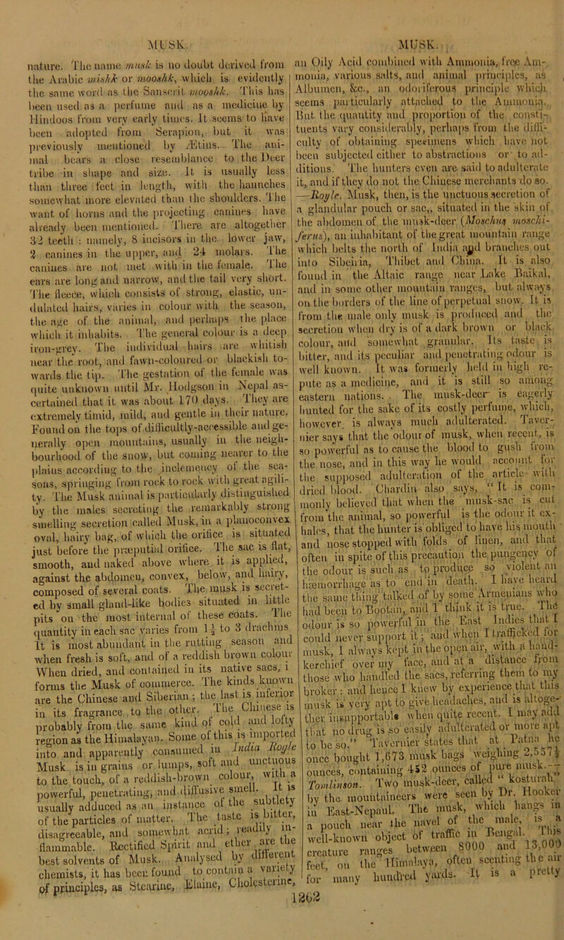 nature. The name musk is no doubt derived from the Arabic miahfr or mooahk, which is evidently the same word as the Sanscrit, moos/i/c, This has been used as a perfume and as a medicine by Hindoos from very early times. It seems to have been adopted from Se rap ion, but it was previously mentioned by /Etius. The ani- mal bears a close resemblance to the Deer tribe in shape and size. It is usually less than three feet in length, with the haunches somewhat more elevated than the shoulders. I he want of horns and the projecting canines have already been mentioned. There are altogether 32 teeth : namely, 8 incisors in the lower jaw, ‘2 canines in the upper, and 24 molars, the canines are not met with in the female. 1 he ears are long and narrow, and the tail very short. The fleece, which consists of strong, elastic, un- dulated hairs, varies in colour with the season, the age of the animal, and perhaps the place which it inhabits. The general colour is a deep iron-grey. The individual hairs are whitish near the root, and fawn-coloured or blackish to- wards the tip. The gestation of the female was quite unknown until Mr. Hodgson in Nepal as- certained that it was about 170 days, ihey ate extremely timid, mild, and gentle in their nature. Found on the tops of diflicultly-aceessible and ge- nerally open mountains, usually in the neigh- bourhood of the snow, but coming nearer to the plains according to the inclemency of the sea- sons, springing from rock to rock with great agili- ty. The Musk animal is particularly distinguished by the males secreting the remarkably stiong smelling secretion called Musk, in a planoconvex oval, hairy bag, of which the orifice is situated just before the preeputial orilice. The sac is flat, smooth, and naked above where it is applied, against the abdomen, convex, below, and haiiy, composed of several coats. The musk is secret- ed by small gland-like bodies situated in little pits on the most internal of these Coats. The quantity in each sac varies from 1^ to 3 drachms It is most abundant in the rutting season and when fresh is soft, and of a reddish brown colour When dried, and contained in its native sacs, i forms the Musk of commerce. The kinds known are the Chinese and Siberian ; tl.e last is inferior its fragrance to the other. The Chinese is in probably from the same kind of cold and lofty region as the Himalayan. Some ol tins is lmpoi ec into and apparently consumed m India Rojh Musk is in grains or lumps, soft and unctuous to the touch, of a reddish-brown colour, with a powerful, penetrating, and dillusive sme . is usually adduced as an instance of the subtlety of the particles of matter. The taste is bitter, disagreeable, and somewhat aend, ioati\ m flammable, llcctificd Spirit and ether are the best solvents of Musk. Analysed bv <1 e|.e 1 chemists, it has been found to contain a vaiieiy of principles, as Stcarine, Elaine, Cholcsterme, mi Oily Acid combined with Ammonia, free Am- monia, various salts, and animal principles, as Albumen, &c., an odoriferous principle which seems particularly attached to the Ammonia. But the quantity and proportion of the consti- tuents vary considerably, perhaps from the dilii- culty of obtaining specimens which have not been subjected cither to abstractions or to ad- ditions. The hunters even are said to adulterate it, and if they do not the Chinese merchants do so. —Royle. Musk, then, is the unctuous secretion of a glandular pouch or sac,, situated in the skin of the abdomen of the musk-deer (Moschns mosclii- ferns), an inhabitant of the great mountain range which belts the north of India a^d branches out inlo Sibciria, Thibet and China. It is also found in the Altaic range near Lake Baikal, and in some other mountain ranges, but always on the borders of the line of perpetual snow. It is from the male only musk is produced and the secretion when dry is of a dark brown or black colour, and somewhat granular. Its taste , is bitter, and its peculiar and penetrating odour is well known. It was formerly held in high re- pute as a medicine, and it is still so among eastern nations., The musk-deer is eagerly hunted for the sake of its costly perfume, which, however, is always much adulterated. Taver- nier says that the odour of musk, when lecent, is so powerful as to cause the blood to gush (rom the nose, and in this way he would account for the supposed adulteration of the article with dried blood. Chardin also says, It is com- monly believed that when the musk-sac is cut from the animal, so powerful is the odour it ex- hales, that the hunter is'obliged to have his mouth and nose stopped with folds of linen, and that often in spite of this precaution the, pungency of the odour is such as to produce so violent an haemorrhage'as’to end in death. I have heard the same thing talked of by some Armenians who had been to Bobtail, and 1 think it is true. Ibe odour is so powerful in the East Inches that I could never support it; and when I trafficked lor musk, I always kept in the open air, with a hand- kerchief over my face, and at a distance from those who handled the sacs, referring them to my broker : and lienee I knew by experience that.this musk is very apt to give headaches, and is altoge-' (flier insupportable when quite recent. I may add that no drug is so easily adulterated or more apt to be so.” Tavernier states that at latna h? once bought 1,673 musk bags weighing En- ounces, containing 452 ounces of purfe imisk-~, Tomlinson. Two musk-deer, called host mail by the. mountaineers were seen by Dr. Hookei in East-Nepaul. The musk, winch hangs in a pouch near the navel of the male is a well-known object of tra®> “ , „o‘| creature ranges between 8000 and 13,000 feet, on the”Himalaya, often scenting the mr for many hundred yards. It is a Pretty \2b2