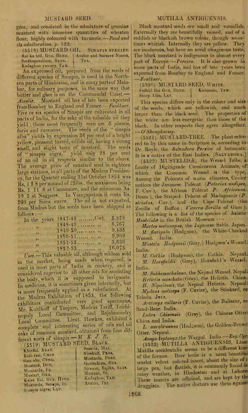 MUSTARD SEED. MUTILLA ANTIOUKMSrS. in the admixture of genuine gree, and consisted mustard with immense quantities of wheaten Hour, highly coloured with turmeric.—Food and itt adulteration, p. 123. (5518) MUSTARD OIL. Sinapis species. Avaloe anil Sursavn Noona, Thu Kai ka teil, Guz. Hind. Sarahapatailum, Sans. Kadaghoo ytinney, Tam. An expressed oil, prepared from the seeds of different species of Sinapis, is used in the North- ern parts of liindostan, and in many parts of Mala- bar, for culinary purposes, in the same way that butter and ghee is on the Coromandel Coast.— Ainalie. Mustard oil has of late been exported fromBombay to England and France.—Faulkner. Five or six species of Sinapis are cultivated in all parts of India, for the sake of the valuable oil they vield : those most frequently seen are S. plauca, 'toria and racemosa. The seeds of the “ sinapis alba” yields by expression 30 per cent of a bright yellow’ pleasant tasted, edible oil, having a strong ’smell, and slight taste of mustard. The seeds of “ sinapis nigra,” yield only 28 per cent of an oil in all respects similar to the above. The average price of mustard seed in eighteen large stations, in a'd parts of the Madras Presiden- cy,lor the Quarter ending 31st October 1 85-1 was Ks', 1 2 8 per maund of 25lbs., the maximum being lls! 1116 atCannanore, and the minimum As. 10 5 at Nagpore. In Vizagapatarn it costs lls. 20S per Sicca carce. The oil is not exported, from Madras but the seeds have been shipped as follows :— in the years 1847-48 Cwt , 1848-49 „ 1849-50 „ 1 1850-51 „ , 1851-52 „ „ 1852-53 „ jjggs, This valuable oil, although seldom sold in the market, being made when required, is used in most parts of India in cookery, and is considered superior to all other oils foi anointing the bodv, which it is supposed to invigorate. In medicine, it is sometimes given internally, but is move frequently applied as a rubefacient. At the Madras Exhibition of 1855, the following- exhibitors contributed very good specimens, Mr KohlhotT of Tanjore, Madras Tariff, '1 nchi- nopolv Local Committee, and Rajahmundry Local Committee. Lieut, llawkes, exhibited a complete and interesting series of oils and oil cake of common mustard, obtained born lour dif- ferent sorts of sinapis.-—M. & X R' (55191 MUSTARD SEED, Black. Sasavie, Mai.. Sirshuff, l’sus. Mostanla, Poky. 5,823 6,767 9,435 9,909 3,636 16,075 (5519) K-hirdal. Arad. Kidi-tsai, Chin Gan-aha, Cyng. Mosterd, l)ur, Moutarde, Fg. Muatert, Geh. Kalee Kai, Guz. UlNT). Mostarda, Senapa, It. jrjiuapis nigra, Lav. Gortschiza, Bus. Sirsomi, Rajika, Sans. Mostaza, Sr. Kadaghoo, Tam. Avaloo, Tee. Black mustard seeds arc small and roundish. « Externally they are beautifully veined, and of a reddish or blackish brown colour, though some- times whitish. Internally they are yellow. They are inodorous, but have an acrid oleaginous taste, The black mustard is indigenous in almost every part of Europe—Pereira. It is also grown in some parts of India, and has of late years been exported from Bombay to England and France. —Faulkner. (5-520) MUSTARD SEED, White. Sufteid ltiii Guz, Hind. | Kndoouuo, Tam. Siunp Alba, Cat. This species differs only in the colour and size of the seeds, which are yellowish, and much larger than the black seed. The properties of the white are less energetic than those of the black. In other respects they agree altogether. —O'Shnnghnessy. (5521) MUSTARD-TREE. The plant refer- red to by this name in Scripture is, according to i Dr. Royle, the Sulradora Persian of botanists. It is a native of the East Indies. [Salvadoua.] (5522) MUSTELIDzE, the Weasel Tribe, a: family of Digitigrade Carnivorous Animals, of- which the Common IVensel is the type, Among the Polecats of warm climates, Cuvier ■ notices the Javanese Polecat (Putorius nndipes, F. C«v.)t the African Polecat. P. Africans. Desm), the Striped Polecat of Madagascar (P. driatus, Cuv.), and the Cape Polecat (the Zorille of Button; Fiverra Zorilla of Gum ). The following is a list of the species ot Asiatic Mustelida in the British Museum Maries melanopus, the Japanese Sable. Japan. M. Jlaviyula (Hodgson), the White-Cheeked Weasel. India. Mustela Hodysouii (Gray,) 1 Iodgson’s 11 easel. India. M. Catkin (Hodgson), the Cathia. NepauL M. llorsfieldii (Gray), llorstteld’s Weasel. India. r M. Subhemaehalana, the Nepnul II easel. Nepal. Helictis moschata (Gray), the Helictis. China. 11. Nipatensis, the Nepaul Helictis.. Nepaul. Mydaus meliceps (F. Cuvier), the Stinkard, or Teledu. Java. Arctonyx collars (F. Cuvier)* the Balisaur, ot Sand-Bear. India. . Lutrn Chinensis (Gray), the Chinese Otter China and India. L. aurohrnnnea (Hodgson), the Golden-Grown Otter. Nepaul. _ Aonyxleptonyx.Wte IVargul. Indw:—■Eng.Cfi (5523) MUTILLA ANTlGUENblS, I min Mutilla occidentalis seems to be a different kino of the former. Beer botie is a most beautiln, scarlet velvet colored insect, about the size ot ; lar-e pea, but flattish, it is commonly found h rainv weather, in liindostan and at Lahore- These insects arc officinal, and arc kept by tti< druggists. The native doctors use them agains- 1868