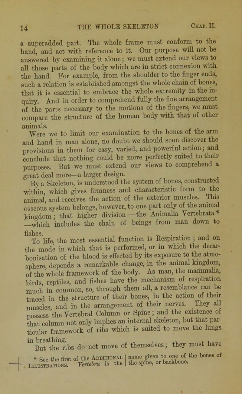 a. superadded part. The whole frame must conform to the hand, and act with reference to it. Our purpose will not be answered by examining it alone; we must extend our views to all those parts of the body which are in strict connexion with the hand. For example, from the shoulder to the finger ends, such a relation is established amongst the whole chain of bones, that it is essential to embrace the whole extremity in the in- quiry. And in order to comprehend fully the fine arrangement of the parts necessary to the motions of the fingers, we must compare the structure of the human body with that of other animals. Were we to limit our examination to the bones of the arm and hand in man alone, no doubt we should soon discover the provisions in them for easy, varied, and powerful action; and conclude that nothing could be more perfectly suited to their purposes. But we must extend our views to comprehend a great deal more—a larger design. By a Skeleton, is understood the system of bone.s, constructed within, which gives firmness and characteristic form to the animal, and receives the action of the exterior muscles, ’^is osseous system belongs, however, to one part only of the animal kingdom; that higher division —the Animalia Vertebrata* —which includes the chain of beings from man down to To life, the most essential function is Respiration; and on the mode in which that is performed, or in which the decar- bonisation of the blood is effected by its exposure to the atmo- sphere depends a remarkable change, in the animal kingdom, of the whole framework of the body. As man, the mammalia, birds reptiles, and fishes have the mechanism of respiration much in common, so, through them aU, a resemblance can be traced in the structure of their bones, in the action of their muscles, and in the arrangement of their nerves. They all possess the Vertebral Column or Spine; and the existence of Lat column not only impbes an internal skeleton, but that par- ticular framework of ribs which is suited to move the lungs ^sS^e^Bbs do not move of themselves; they must have * See the first of the Additional . Illustrations. Vertebra is the name given to one of the hones of the spine, or backbone.