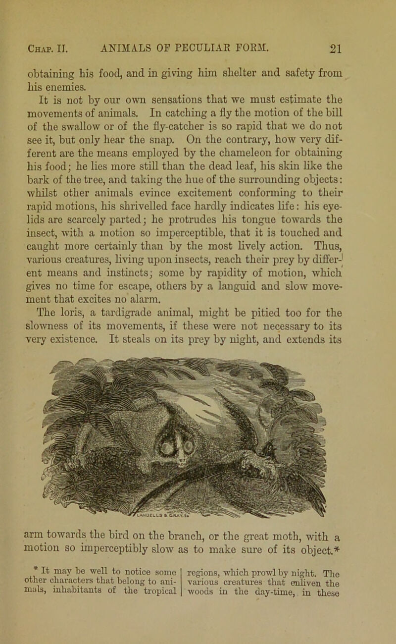 obtaining his food, and in giving him shelter and safety from his enemies. It is not by our own sensations that we must estimate the movements of animals. In catching a fly the motion of the bill of the swallow or of the fly-catcher is so rapid that we do not see it, but only hear the snap. On the contrary, how very dif- ferent are the means employed by the chameleon for obtaining his food; he lies more still than the dead leaf, his skin like the bark of the tree, and taking the hue of the surrounding objects: whilst other animals evince excitement conforming to their rapid motions, his shrivelled face hardly indicates life: his eye- lids are scarcely parted; he protrudes his tongue towards the insect, wdth a motion so imperceptible, that it is touched and caught more certainly than by the most lively action. Thus, various creatures, bving upon insects, reach their prey by differ- ent means and instincts; some by rapidity of motion, which gives no time for escape, others by a languid and slow move- ment that excites no alarm. The loris, a tardigrade animal, might be pitied too for the slowness of its movements, if these were not necessary to its very existence. It steals on its prey by night, and extends its arm towards the bird on the branch, or the great moth, with a motion so imperceptibly slow as to make sure of its object.* * It may be well to notice some other characteis that belong to ani- mals, inhabitants of the tropical regions, which prowl by night. The various creatm-es that enliven the woods in the day-time, in these