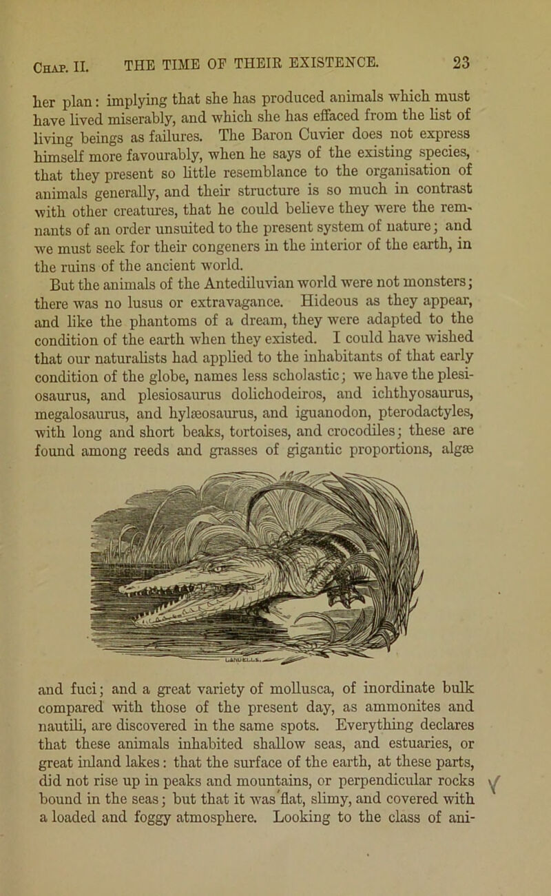 her plan: implying that she has produced animals which must have lived miserably, and which she has effaced from the list of living beings as failures. The Baron Cuvier does not express himself more favourably, when he says of the existing species, that they present so httle resemblance to the organisation of animals generally, and their structure is so much in contrast with other creatures, that he could believe they were the rem- nants of an order unsuited to the present system of nature; and we must seek for their congeners in the interior of the earth, in the ruins of the ancient world. But the animals of the Antediluvian world were not monsters; there was no lusus or extravagance. Hideous as they appear, and like the phantoms of a dream, they were adapted to the condition of the earth when they existed. I could have wished that our naturalists had applied to the inhabitants of that early condition of the globe, names less scholastic; we have the plesi- osaurus, and plesiosaurus dolichodeiros, and ichthyosaurus, megalosaurus, and hylmosaurus, and iguanodon, pterodactyles, with long and short beaks, tortoises, and crocodiles; these are found among reeds and grasses of gigantic proportions, algae and fuel; and a great variety of moUusca, of inordinate bulk compared with those of the present day, as ammonites and nautili, are discovered in the same spots. Everything declares that these animals inhabited shallow seas, and estuaries, or great inland lakes: that the surface of the earth, at these parts, did not rise up in peaks and mountains, or perpendicular rocks bound in the seas; but that it was'fiat, slimy, and covered with a loaded and foggy atmosphere. Looking to the class of ani-