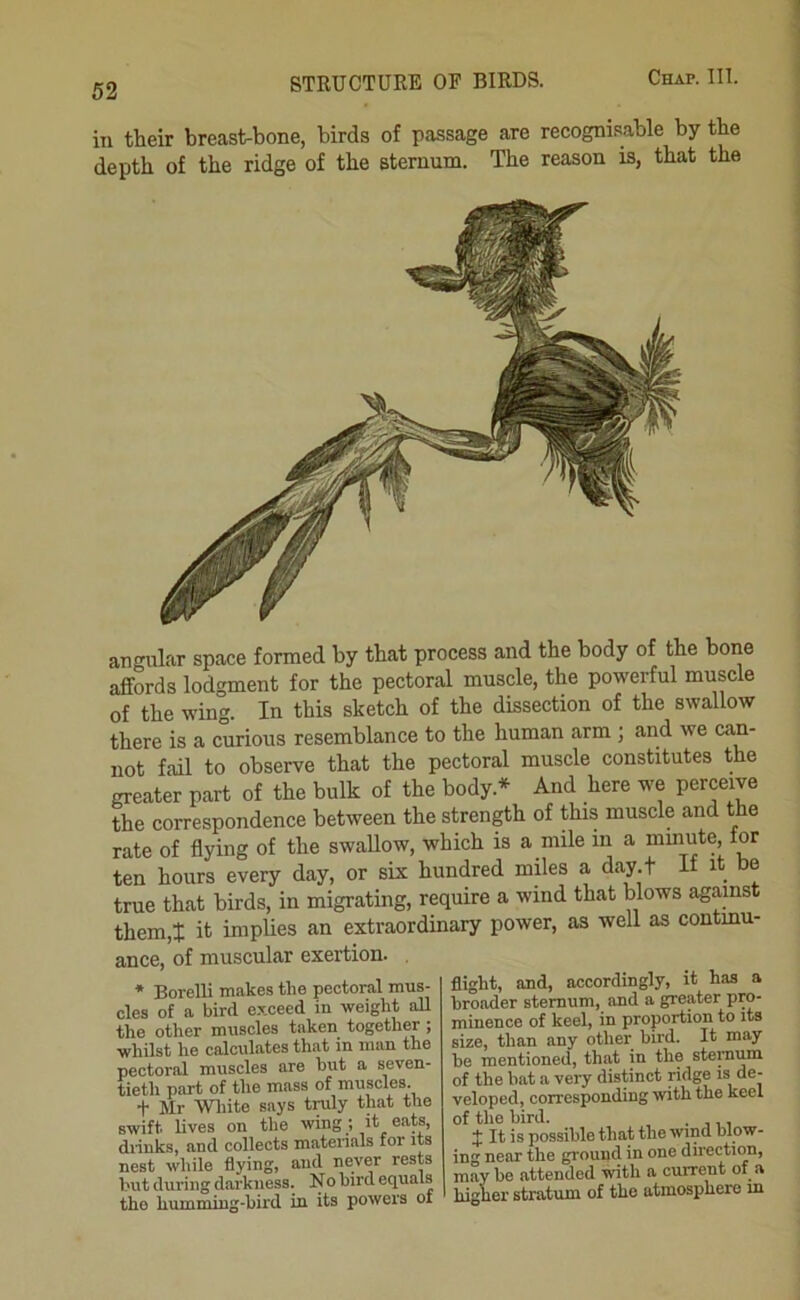 ill their breast-bone, birds of passage are recognisable by the depth of the ridge of the sternum. The reason is, that the angular space formed by that process and the body of the bone affords lodgment for the pectoral muscle, the powerful muscle of the wing. In this sketch of the dissection of the swallow there is a curious resemblance to the human arm ; and we can- not fail to observe that the pectoral muscle constitutes the greater part of the bulk of the body.* And here we perceive the correspondence between the strength of this muscle and the rate of flying of the swaUow, which is a mile in a mmute for ten hours every day, or six hundred miles a day.t it it be true that birds, in migrating, require a wind that blows against them,t it impUes an extraordinary power, as well as contmu- ance, of muscular exertion. , flight, and, accordingly, it has a broader sternum, and a greater pro- minence of keel, in proportion to its size, than any other bird. It may be mentioned, that in the sternum of the hat a very distinct ridge is de- veloped, corresponding with the keel of the bird. , . ,,, J It is possible that the wind blow- ing near the ground in one direction, may be attended wth a current of a higiiBr stratum of tlio atmospiicre ib * Borelli makes the pectoral mus- cles of a bird exceed in weight all the other muscles taken together ; whilst he calculates that in man the pectoral muscles are but a seven- tieth part of the mass of muscles t Mr Wliite says troly that the swift lives on the wing; it eats, diiuks, and collects matenals for its nest while flying, and never rests but during darkness. No bird equals the humming-bird in its powers of