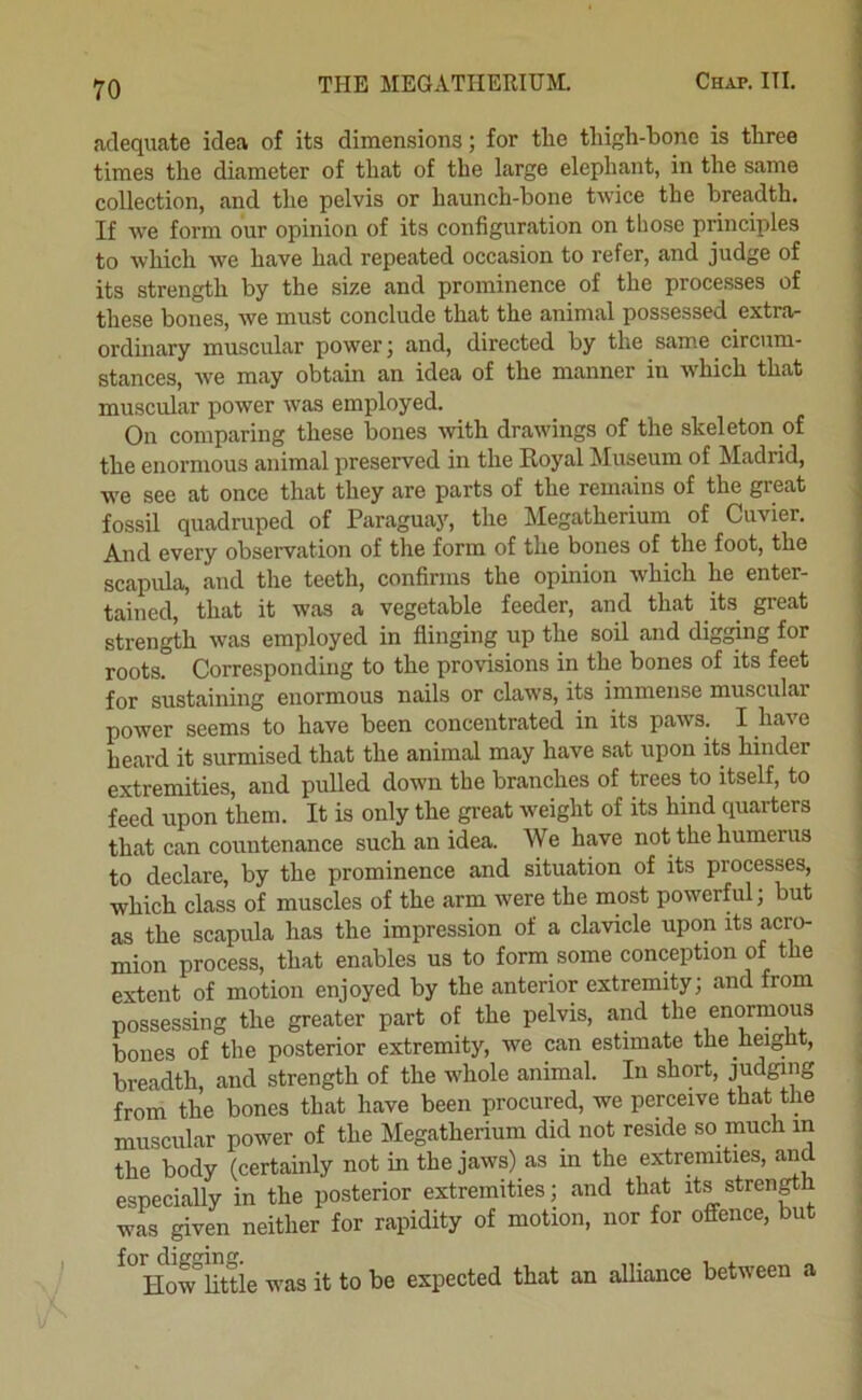 adequate idea of its dimensions; for the thigh-bone is three times the diameter of that of the large elephant, in the same collection, and the pelvis or haunch-bone twice the breadth. If Ave form our opinion of its configuration on those principles to which we have had repeated occasion to refer, and judge of its strength by the size and prominence of the processes of these bones, we must conclude that the animal possessed extrar ordinary muscular power; and, directed by the same circum- stances, Ave may obtain an idea of the manner in Avhich that muscular power Avas employed. On comparing these bones Avith drawings of the skeleton of the enormous animal preserved in the Royal Museum of Madrid, A\'e see at once that they are parts of the remains of the great fossil quadruped of Paraguay, the Megatherium of Cuvier. And every observation of the form of the bones of the foot, the scapula, and the teeth, confirms the opinion Avhich he enter- tained, that it was a vegetable feeder, and that its great strength Avas employed in flinging up the soil and dig^ng for roots. Corresponding to the provisions in the bones of its feet for sustaining enormous nails or claAvs, its immense muscular power seems to have been concentrated in its paws. I liaA'e heard it surmised that the animal may have sat upon its hinder extremities, and pulled down the branches of trees to itself, to feed upon them. It is only the great Aveight of its hind quarters that can countenance such an idea. We have not the humerus to declare, by the prominence and situation of its processes, which class of muscles of the arm Avere the most powerful; but as the scapula has the impression of a clavicle upon its acro- mion process, that enables us to form some conception of the extent of motion enjoyed by the anterior extremity; and from possessing the greater part of the pelvis, and the enormous bones of the posterior extremity, we can estimate the heignt, breadth, and strength of the whole animal. In short, from the bones that have been procured, we perceive that the muscular power of the Megatherium did not reside so much in the body (certainly not in the jaAVs) as m the extremities, and especiaUy in the posterior extremities; and that its stren^h was ^ven neither for rapidity of motion, nor for offence, but for diff'^inff. How”little was it to be expected that an alliance between a