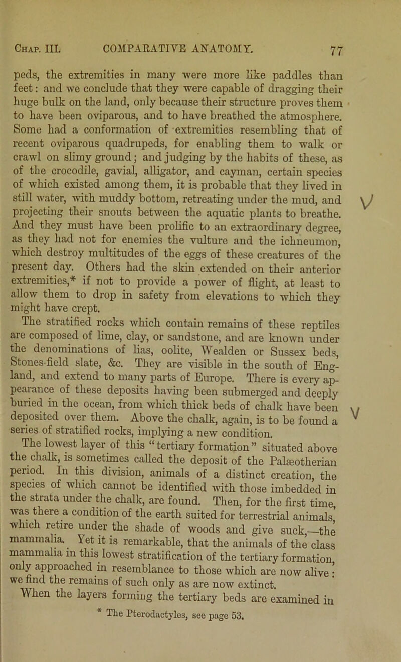 peds, the extremities in many -were more like paddles than feet: and we conclude that they were capable of dragging their huge bulk on the land, only because their structure proves them to have been oviparous, and to have breathed the atmosphere. Some had a conformation of extremities resembling that of recent oviparous quadrupeds, for enabling them to walk or crawl on slimy ground; and judging by the habits of these, as of the crocodile, gavial, aUigator, and cayman, certain species of which existed among them, it is probable that they lived in still water, with muddy bottom, retreating under the mud, and projecting their snouts between the aquatic plants to breathe. And they must have been prolific to an extraordinary degree, as they had not for enemies the vulture and the ichneumon, ■which destroy multitudes of the eggs of these creatures of the present day. Others had the skin extended on their anterior extremities,'^ if not to provide a power of flight, at least to allow them to drop in safety from elevations to which they might have crept. The stratified rocks which contain remains of these reptiles are composed of lime, clay, or sandstone, and are known under the denominations of lias, oolite, Wealden or Sussex beds, Stones-field slate, &c. They are visible in the south of Eng- land, and extend to many parts of Europe. There is every ap- pearance of these deposits having been submerged and deeply buried in the ocean, from which thick beds of chalk have been deposited over them. Above the chalk, again, is to be found a series of stratified rocks, implying a new condition. The lowest layer of this “tertiary formation” situated above the chalk, is sometimes called the deposit of the Palreotherian period. In this division, animals of a distinct creation, the species of which cannot be identified ■with those imbedded in the strata under the chalk, are found. Then, for the first time, was there a condition of the earth suited for terrestrial animals which retire under the shade of woods and give suck,—the mammalia. Yet it is remarkable, that the animals of the class mammaha in this lowest stratification of the tertiary formation only approached in resemblance to those which are now alive : we find the remains of such only as are now extinct. I When the layers forming the tertiary beds are examined in I * The Pfcerodactylos, see page 53. V