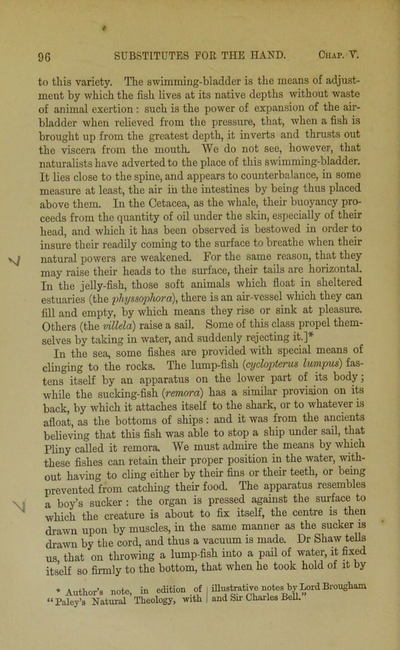 to this variety. The swimming-bladder is the means of adjust- ment by which the fish lives at its native depths without waste of animal exertion: such is the power of expansion of the air- bladder when relieved from the pressure, that, when a fish is brought up from the greatest depth, it inverts and thrusts out the viscera from the mouth. We do not see, however, that naturalists have adverted to the place of this swimming-bladder. It lies close to the spine, and appears to counterbalance, in some measure at least, the air in the intestines by being thus placed above them. In the Cetacea, as the whale, their buoyancy pro- ceeds from the quantity of oil under the skin, especially of their head, and which it has been observed is bestowed in order to insure their readily coming to the surface to breathe when their natural powers are weakened. For the same reason, that they may raise their heads to the surface, their tails are horkontah In the jelly-fish, those soft animals which float in sheltered estuaries (the physsophora), there is an air-vessel which they can fill and empty, by which means they rise or sink at pleasure. Others (the villela) raise a sail. Some of this class propel them- selves by taking in water, and suddenly rejecting it.]* In the sea, some fishes are provided with special means of clinging to the rocks. The lump-fish {cyclopterm lumpua) fas- tens itself by an apparatus on the lower part of its body; while the sucking-fish {remora) has a similar provision on its back, by which it attaches itself to the shark, or to whatever is afloat, as the bottoms of ships; and it was from the ancients believing that this fish was able to stop a ship under sail, that Phny called it remora. We must admire the means by which these fishes can retain their proper position in the water, with- out having to cling either by their fins or their teeth, or being prevented from catching their food. The apparatus resembles a boy’s sucker ; the organ is pressed against the surface to which the creature is about to fix itself, the centre is then drawn upon by muscles, in the same manner as the sucker is drawn by the cord, and thus a vacuum is made. Dr Shaw tells us that on throwing a lump-fish into a pail of water, it fixed itseU so firmly to the bottom, that when he took hold of it by * Author’s note, in edition of ‘‘Paley’s Natural Theology, with illustrative notes by Lord Brougham and Sir Charles Bell.”