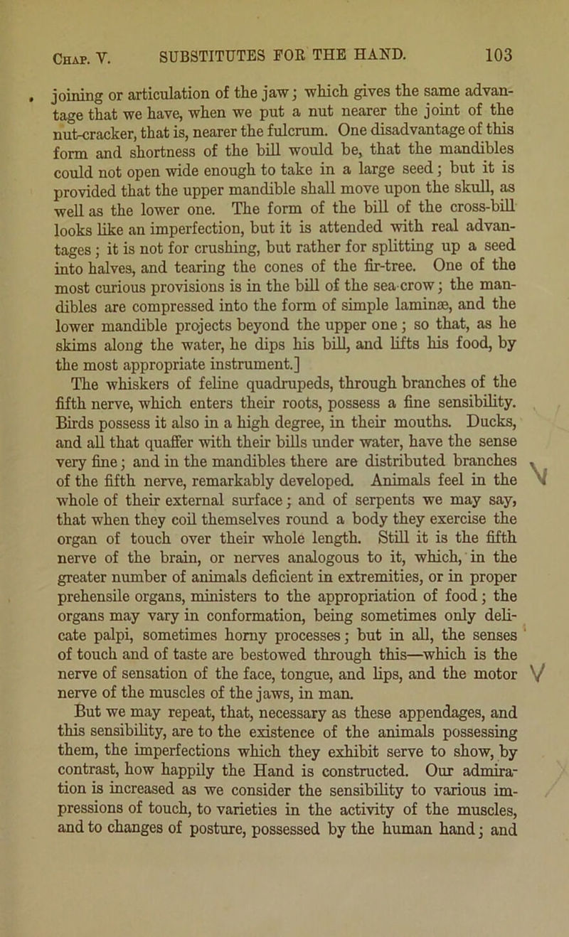 joining or articulation of the jaw; which gives the same advan- tage that we have, when we put a nut nearer the joint of the nutcracker, that is, nearer the fulcrum. One disadvantage of this form and shortness of the bill would be, that the mandibles could not open wide enough to take in a large seed; but it is provided that the upper mandible shall move upon the skull, as well as the lower one. The form of the bill of the cross-biU looks like an imperfection, but it is attended with real advan- tages ; it is not for crushing, but rather for splitting up a seed into halves, and tearing the cones of the fir-tree. One of the most curious provisions is in the bill of the sea-crow; the man- dibles are compressed into the form of simple laminae, and the lower mandible projects beyond the upper one; so that, as he skims along the water, he dips his bill, and lifts his food, by the most appropriate instrument.] The whiskers of feline quadrupeds, through branches of the fifth nerve, which enters their roots, possess a fine sensibility. Birds possess it also in a high degree, in their mouths. Ducks, and all that quaffer with their bills vmder water, have the sense very fine; and in the mandibles there are distributed branches . of the fifth nerve, remarkably developed. Animals feel in the V whole of their external surface; and of serpents we may say, that when they coil themselves roimd a body they exercise the organ of touch over their whole length. Still it is the fifth nerve of the brain, or nerves analogous to it, which, in the greater number of animals deficient in extremities, or in proper prehensile organs, ministers to the appropriation of food; the organs may vary in conformation, being sometimes only deli- cate palpi, sometimes homy processes; but in all, the senses ’ of touch and of taste are bestowed through this—^which is the nerve of sensation of the face, tongue, and lips, and the motor V nerve of the muscles of the jaws, in man. But we may repeat, that, necessary as these appendages, and this sensibility, are to the existence of the animals possessing them, the imperfections which they exhibit serve to show, by contrast, how happily the Hand is constracted. Our admira- tion is increased as we consider the sensibility to various im- pressions of touch, to varieties in the activity of the muscles, and to changes of posture, possessed by the human hand; and