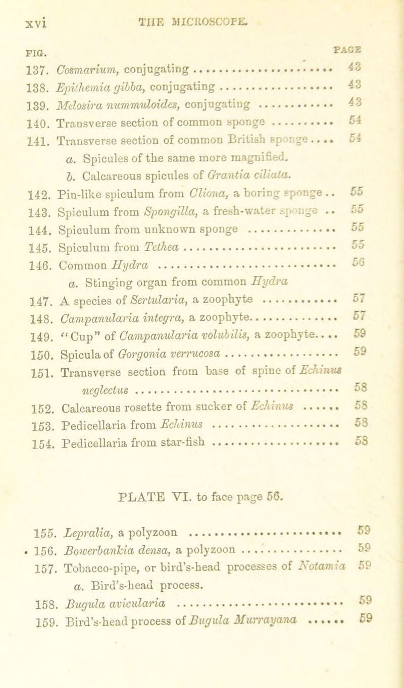 FIG. PAGE 137. Cotmarium, conjugating 43 138. Epithemia gibba, conjugating 43 139. Melosira nummuloides, conjugating 43 140. Transverse section of common sponge 54 141. Transverse section of common British sponge.... 54 a. Spicules of the same more magnified. b. Calcareous spicules of Granlia ciliata. 142. Pin-like spiculum from Gliona, a boring sponge .. 55 143. Spiculum from Spongilla, a fresh-water spuige .. oo 144. Spiculum from unknown sponge 55 145. Spiculum from Tcthea ^5 146. Common Hydra 56 a. Stinging organ from common Hydra 147. A species of Serlularia, a zoophyte 57 148. Campanularia Integra, a zoophyte 57 149. “ Cup” of Campanularia volubilis, a zoophyte.... 59 150. Spicula of Gorgonia verrucosa 59 151. Transverse section from base of spine of Echinus neglectus 58 152. Calcareous rosette from sucker of Echinus ...... 58 153. Pedicellaria from Echinus 58 154. Pedicellaria from star-fish 58 PLATE VI. to face page 56. 155. Lepralia, a polyzoon • 156. Bowerbanhia densa, a polyzoon 157. Tobacco-pipe, or bird’s-head processes of Notamia a. Bird’s-bead process. 158. Bugula avicularia 159. Bird’s-head process of Bugula Murrayana 59 59 59 59 59