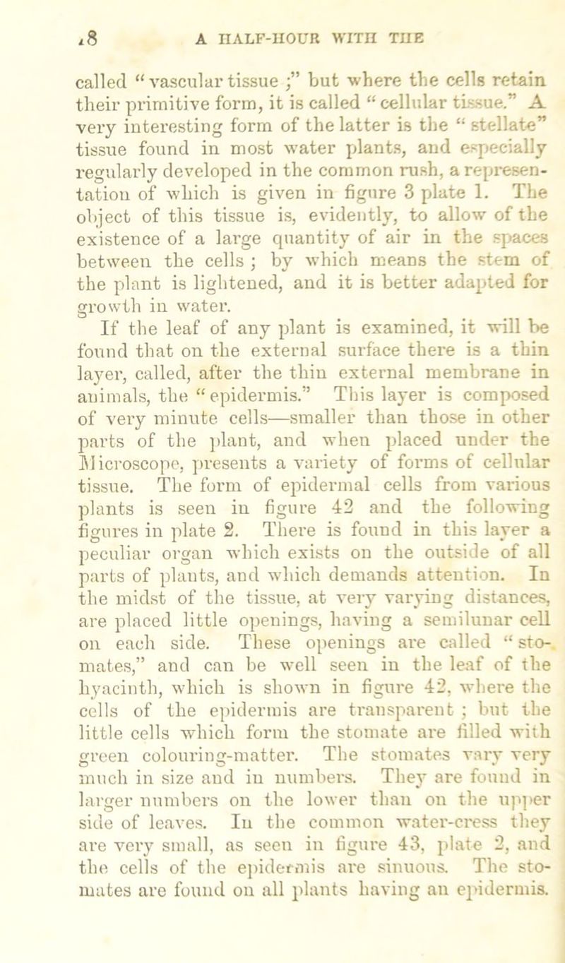 called “ vascular tissue but where the cells retain their primitive form, it is called “ cellular tissue” A very interesting form of the latter is the “ stellate” tissue found in most water plants, and especially regularly developed in the common rush, a represen- tation of which is given in figure 3 plate 1. The object of this tissue is, evidently, to allow of the existence of a large quantity of air in the spaces between the cells ; by which means the stem of the plant is lightened, and it is better adapted for growth in water. If the leaf of any plant is examined, it will be found that on the external surface there is a thin layer, called, after the thin external membrane in animals, the “ epidermis.” This layer is composed of very minute cells—smaller than those in other parts of the plant, and when placed under the INI icroscope, presents a variety of forms of cellular tissue. The form of epidermal cells from various plants is seen in figure 42 and the following figures in plate 2. There is found in this layer a peculiar organ which exists on the outside of all parts of plants, and which demands attention. In the midst of the tissue, at very varying distances, are placed little openings, having a semilunar cell on each side. These openings are called “ sto- mates,” and can be well seen in the leaf of the hyacinth, which is shown in figure 42, where the cells of the epidermis are transparent ; but the little cells which form the stomate are filled with green colouring-matter. The stomates vary very much in size and in numbers. They are found in larger numbers on the lower than on the upper side of leaves. In the common water-cress they are very small, as seen in figure 43, plate 2, and the cells of the epidermis are sinuous. The sto- mates are found on all plants having an epidermis.