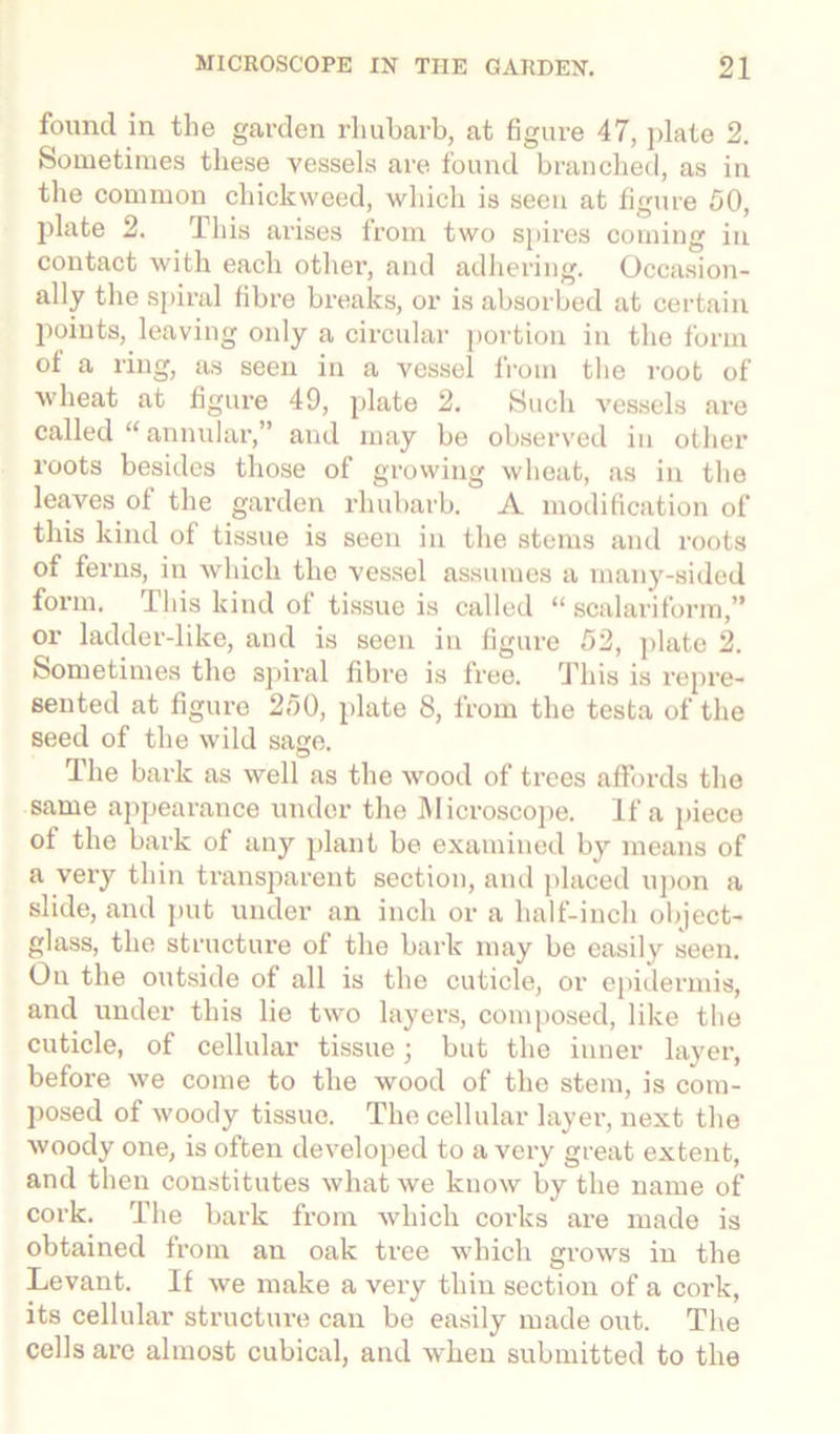 found in the garden rhubarb, at figure 47, plate 2. Sometimes these vessels are found branched, as in the common chickweed, which is seen at figure 00, plate 2. This ai’ises from two spires coming in contact with each other, and adhering. Occasion- ally the spiral fibre breaks, or is absorbed at certain points, leaving only a circular portion in the form of a ring, as seen in a vessel from the root of wheat at figure 49, plate 2. Much vessels are called “ annular,” and may be observed in other roots besides those of growing wheat, as in the leaves of the garden rhubarb. A modification of this kind of tissue is seen in the stems and roots of ferns, in which the vessel assumes a many-sided form. This kind of tissue is called “ scalariform,” or ladder-like, and is seen in figure 52, plate 2. Sometimes the spiral fibre is free. This is repre- sented at figure 250, plate 8, from the testa of the seed of the wild sage. The bark as well as the wood of trees affords the same appearance under the Microscope. If a piece of the bark of any plant be examined by means of a very thin transparent section, and placed upon a slide, and put under an inch or a half-inch object- glass, the structure of the bark may be easily seen. On the outside of all is the cuticle, or epidermis, and under this lie two layers, composed, like the cuticle, of cellular tissue; but the inner layer, before we come to the wood of the stem, is com- posed of woody tissue. The cellular layer, next the woody one, is often developed to a very great extent, and then constitutes what we know by the name of cork. The bark from which corks are made is obtained from an oak tree which grows in the Levant. If we make a vei'y thin section of a cork, its cellular structure can be easily made out. The cells are almost cubical, and when submitted to the