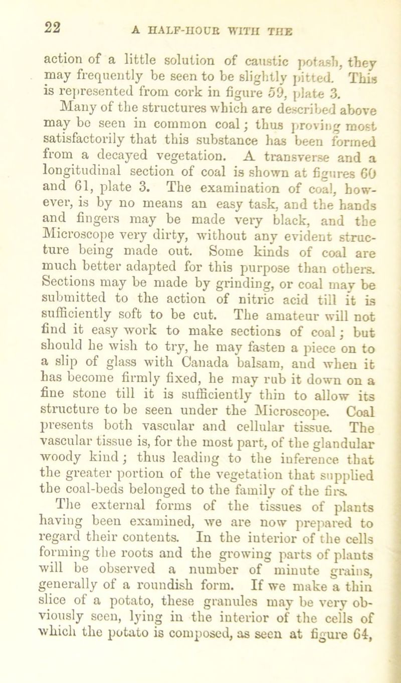 action of a little solution of caustic potash, they may frequently be seen to be slightly pitted This is represented from cork in figure 59, plate 3. Many of the structures which are described above may bo seen in common coal; thus proving most satisfactorily that this substance has been formed from a decayed vegetation. A transverse and a longitudinal section of coal is shown at figures CO and 61, plate 3. The examination of coal, how- ever, is by no means an easy task, and the hands and fingers may be made very black, and the Microscope very dirty, without any evident struc- ture being made out. Some kinds of coal are much better adapted for this purpose than others. Sections may be made by grinding, or coal mav be submitted to the action of nitric acid till it is sufficiently soft to be cut. The amateur will not find it easy work to make sections of coal; but should he wish to try, he may fasten a piece on to a slip of glass with Canada balsam, and when it has become firmly fixed, he may rub it down on a fine stone till it is sufficiently thin to allow its structure to be seen under the Microscope. Coal presents both vascular and cellular tissue. The vascular tissue is, for the most part, of the glandular woody kind j thus leading to the inference that the greater portion of the vegetation that supplied the coal-beds belonged to the family of the firs. The external forms of the tissues of plants having been examined, we are now prepared to regard their contents. In the interior of the cells forming the roots and the growing parts of plants will be observed a number of minute grains, generally of a roundish form. If we make a thin slice of a potato, these granules may be very ob- viously seen, lying in the interior of the cells of which the potato is composed, as seen at figure 64,