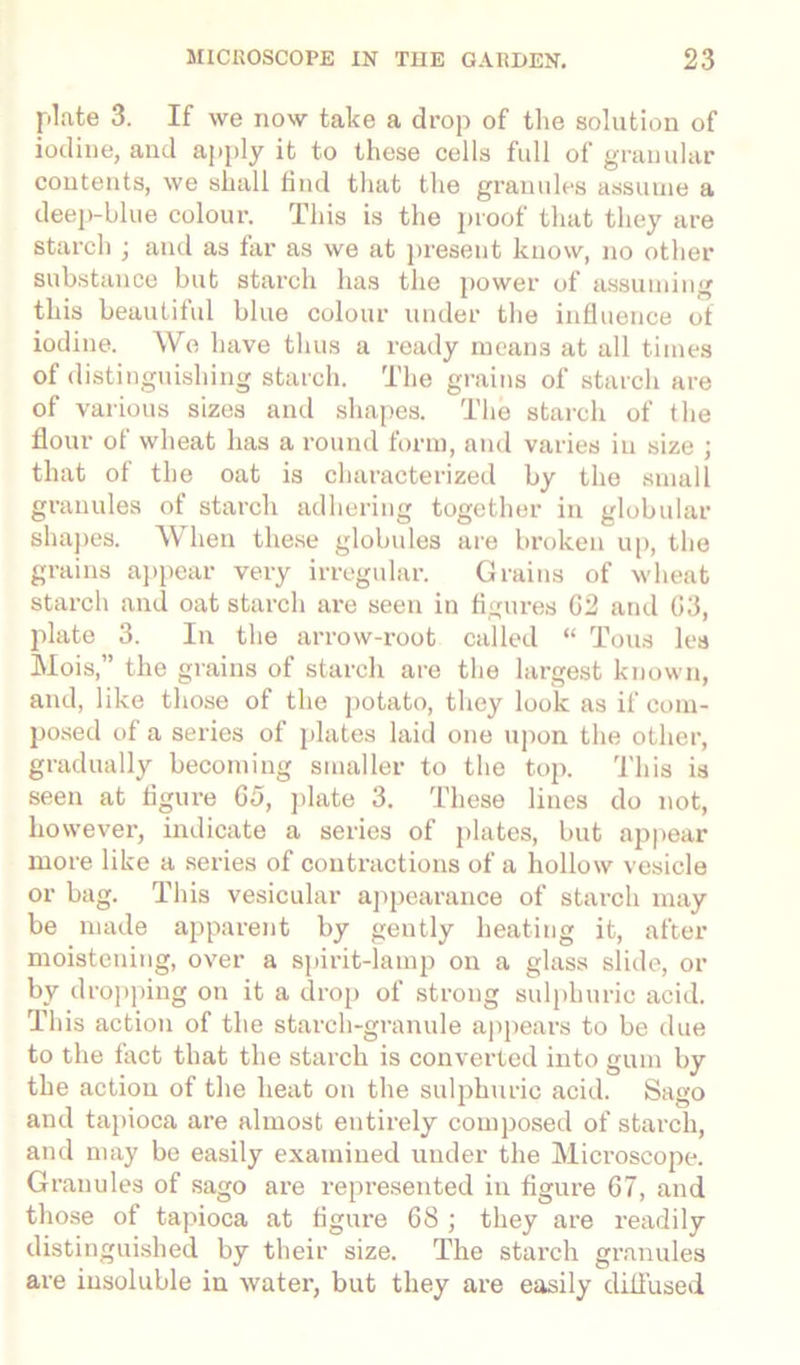 plate 3. If we now take a drop of the solution of iodine, and apply it to these cells full of granular contents, we shall find that the granules assume a deep-blue colour. This is the proof that they are starch ; and as far as we at present know, no other substance but starch has the power of assuming this beautiful blue colour under the influence of iodine. We have thus a ready means at all times of distinguishing starch. The grains of starch are of various sizes and shapes. The starch of the flour of wheat has a round form, and varies in size ; that of the oat is characterized by the small granules of starch adhering together in globular shapes. AY hen these globules are broken up, the grains appear very irregular. Grains of wheat starch and oat starch are seen in figures G2 and G3, plate 3. In the arrow-root called “ Tous les Mois,” the grains of starch are the largest known, and, like those of the potato, they look as if com- posed of a series of plates laid one upon the other, gradually becoming smaller to the top. This is seen at figure G5, plate 3. These lines do not, however, indicate a series of plates, but appear more like a series of contractions of a hollow vesicle or bag. This vesicular appearance of starch may be made apparent by gently heating it, after moistening, over a spirit-lamp on a glass slide, or by dropping on it a drop of strong sulphuric acid. This action of the starch-granule appears to be due to the fact that the starch is converted into gum by the action of the heat on the sulphuric acid. Sago and tapioca are almost entirely composed of starch, and may be easily examined under the Microscope. Granules of sago are represented in figure 67, and those of tapioca at figure 68 ; they are readily distinguished by their size. The starch granules are insoluble in water, but they are easily diffused
