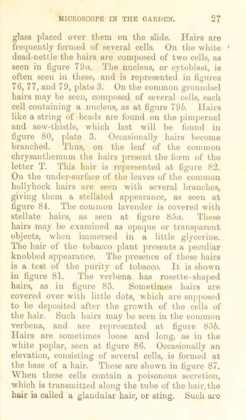 glass placed over them on the slide. Hairs are frequently formed of several cells. On the white 1 dead-nettle the hairs are composed of two cells, as seen in figure 79a. The nucleus, or cytoblast, is often seen in these, and is represented in figures 76, 77, and 79, plate 3. On the common groundsel hairs may be seen, composed of several cells, each cell containing a nucleus, as at figure 796. Hairs like a string of beads are found on the pimpernel and sow-thistle, which last will be found in figure 80, plate 3. Occasionally hairs become branched. Thus, on the leaf of the common chrysanthemum the hairs present the form of the letter T. This hair is represented at figure 82. On the under-surface of the leaves of the common hollyhock hairs are seen with several branches, giving them a stellated appearance, as seen at figure 84. The common lavender is covered with stellate hairs, as seen at figure 85a. These hairs may be examined as opaque or transparent objects, when immersed in a little glycerine. The hair of the tobacco plant presents a peculiar knobbed appearance. The presence of these hairs is a test of the purity of tobacco. It is shown in figure 81. The verbena has rosette-shaped hairs, as in figure 83. Sometimes hairs are covered over with little dots, which are supposed to be deposited after the growth of the cells of the hair. Such hairs may be seen in the common verbena, and are l’epresented at figure 8 5b. Hairs are sometimes loose and long, as in the white poplar, seen at figure 86. Occasionally an elevation, consisting of several cells, is formed at the base of a hair. These are shown in figure 87. When these cells contain a poisonous secretion, which is transmitted along the tube of the hair, the hair is called a glandular hair, or sting. Such are