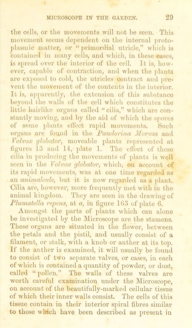 the cells, or the movements will not be seen. This movement seems dependent on the internal proto- plasmic matter, or “ primordial utricle,” which is contained in many cells, and which, in these cases, is spread over the interior of the cell. It is, how- ever, capable of contraction, and when the plants are exposed to cold, the utricles contract and pre- vent the movement of the contents in the interior. It is, apparently, the extension of this substance beyond the walls of the cell which constitutes the little hairlike organs called “ cilia,” which are con- stantly moving, and by the aid of which the spores of some plants effect rapid movements. Such organs are found in the Panclorina Morum and Volvox globator, moveable plants represented at figures 13 and 14, plate 1. The effect of these cilia in producing the movements of plants is well seen in the Volvox globatm', which, on account of its rapid movements, was at one time regarded as an animalcule, but it is now regarded as a plant. Cilia are, however, more frequently met with in the animal kingdom. They are seen in the drawing of Plumatella repens, at a, in figure 163 of plate 6. Amongst the parts of plants which can alone be investigated by the Microscope are the stamens. These organs are situated in the flower, between the petals and the pistil, and usually consist of a filament, or stalk, with, a knob or anther at its top. If the anther is examined, it will usually be found to consist of two separate valves, or cases, in each of which is contained a quantity of powder, or dust, called “ pollen.” The walls of these valves are worth careful examination under the Microscope, on account of the beautifully-marked cellular tissue of which their inner walls consist. The cells of this tissue contain in their iuterior spiral fibres similar to those which have been described as present in