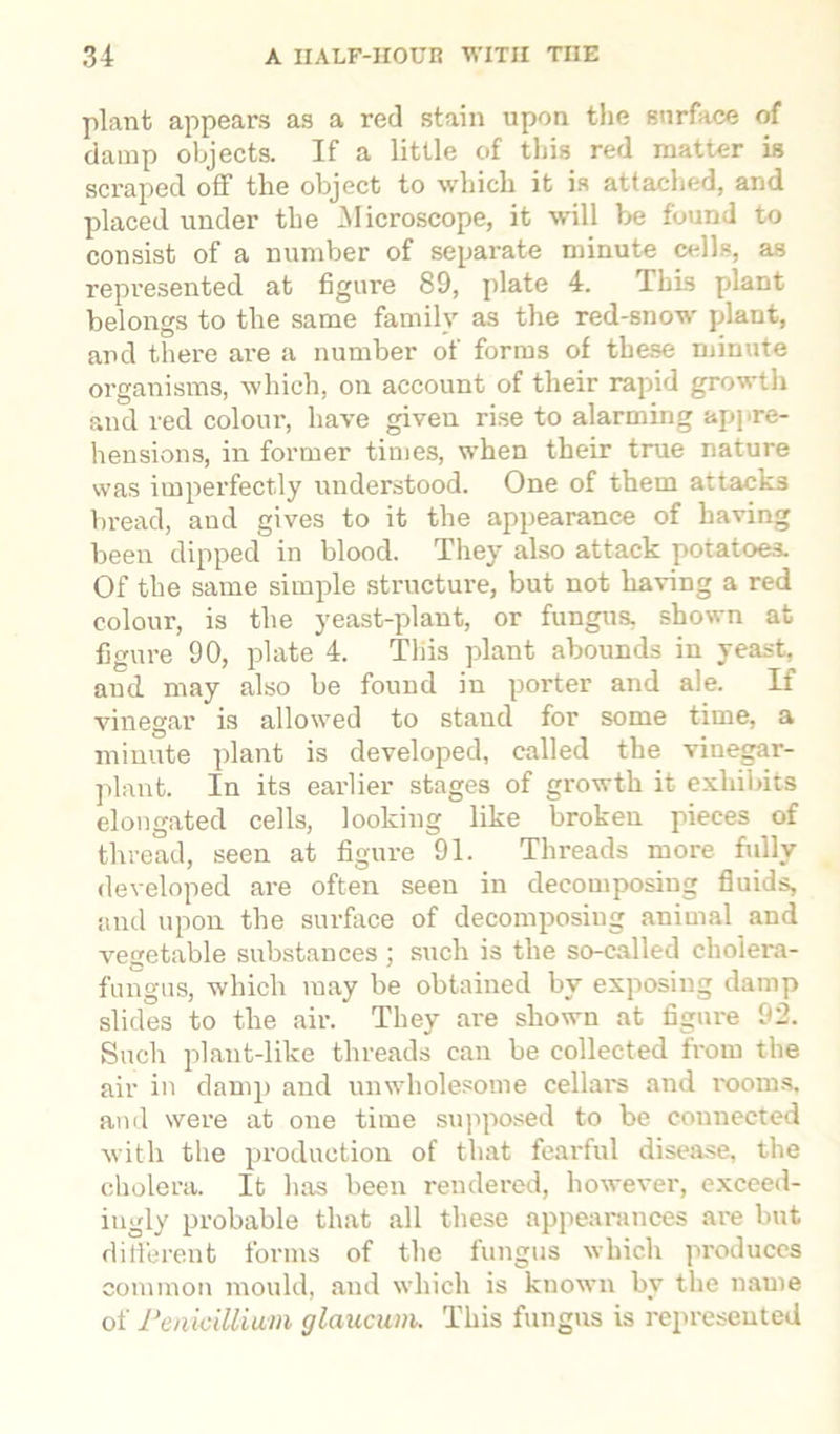 plant appears as a red stain upon the surface of damp objects. If a little of this red matter is scraped off the object to which it is attached, and placed under the Microscope, it will be found to consist of a number of separate minute cells, as represented at figure 89, plate 4. This plant belongs to the same family as the red-snow plant, and there are a number of forms of these minute organisms, which, on account of their rapid growth and red colour, have given rise to alarming appre- hensions, in former times, when their true nature was imperfectly understood. One of them attacks bread, and gives to it the appearance of having been clipped in blood. They also attack potatoes. Of the same simple structure, but not having a red colour, is the yeast-plant, or fungus, shown at figure 90, plate 4. This plant abounds in yeast, and may also be found in porter and ale. If vinegar is allowed to stand for some time, a minute plant is developed, called the vinegar- plant. In its earlier stages of growth it exhibits elongated cells, looking like broken pieces of thread, seen at figure 91. Threads more fully developed are often seen in decomposing fluids, and upon the surface of decomposing animal and vegetable substances ; such is the so-called cholera- fungus, which may be obtained by exposing damp slides to the air. They are shown at figure 92. Such plant-like threads can be collected from the air in damp and unwholesome cellai's and rooms, and were at one time supposed to be connected with the production of that fearful disease, the cholera. It has been rendered, however, exceed- ingly probable that all these appearances are but different forms of the fungus which produces common mould, and which is known by the name of Penicillium glaiccum. This fungus is represented
