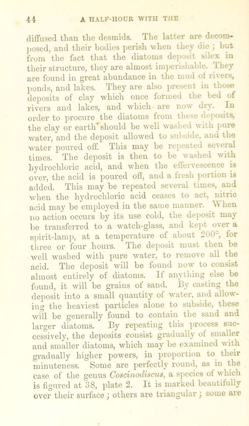diffused than the desmids. The latter are decom- posed, and their bodies perish when they die J but from the fact that the diatoms deposit si lex in their structure, they are almost imperishable. They are found in great abundance in the mud of rivers, ponds, and lakes. They are also present in those deposits of clay which once formed the bed of rivers and lakes, and which are now dry. In order to procure the diatoms from these deposits, the clay or earth* should be well washed with pure water, and the deposit allowed to subside, and the water poured off. This may be repeated several times. The deposit is then to be washed with hydrochloric acid, and when the effervescence is over, the acid is poured off, and a fresh portion is added. This may be repeated several times, and when the hydrochloric acid ceases to act, nitric acid may be employed in the same manner. When no action occurs by its use cold, the deposit may be transferred to a watch-glass, and kept ovei a spirit-lamp, at a temperature of about 200°, for three or four hours. The deposit must then be well washed with pure water, to remove all the acid. The deposit will be found now to consist almost entirely of diatoms. If anything else be found, it will be grains of sand. By casting the deposit into a small quantity of water, and allow- ing the heaviest particles alone to subside, these will be generally found to contain the sand and larger diatoms. By repeating this process suc- cessively, the deposits consist gradually of smaller and smaller diatoms, which may be examined with gradually higher powers, in proportion to their minuteness. Some are perfectly round, as in the case, of the genus Coscinodiscus, a species of which is figured at 38, plate 2. It is marked beautifully over their surface j others are triangular ; some are
