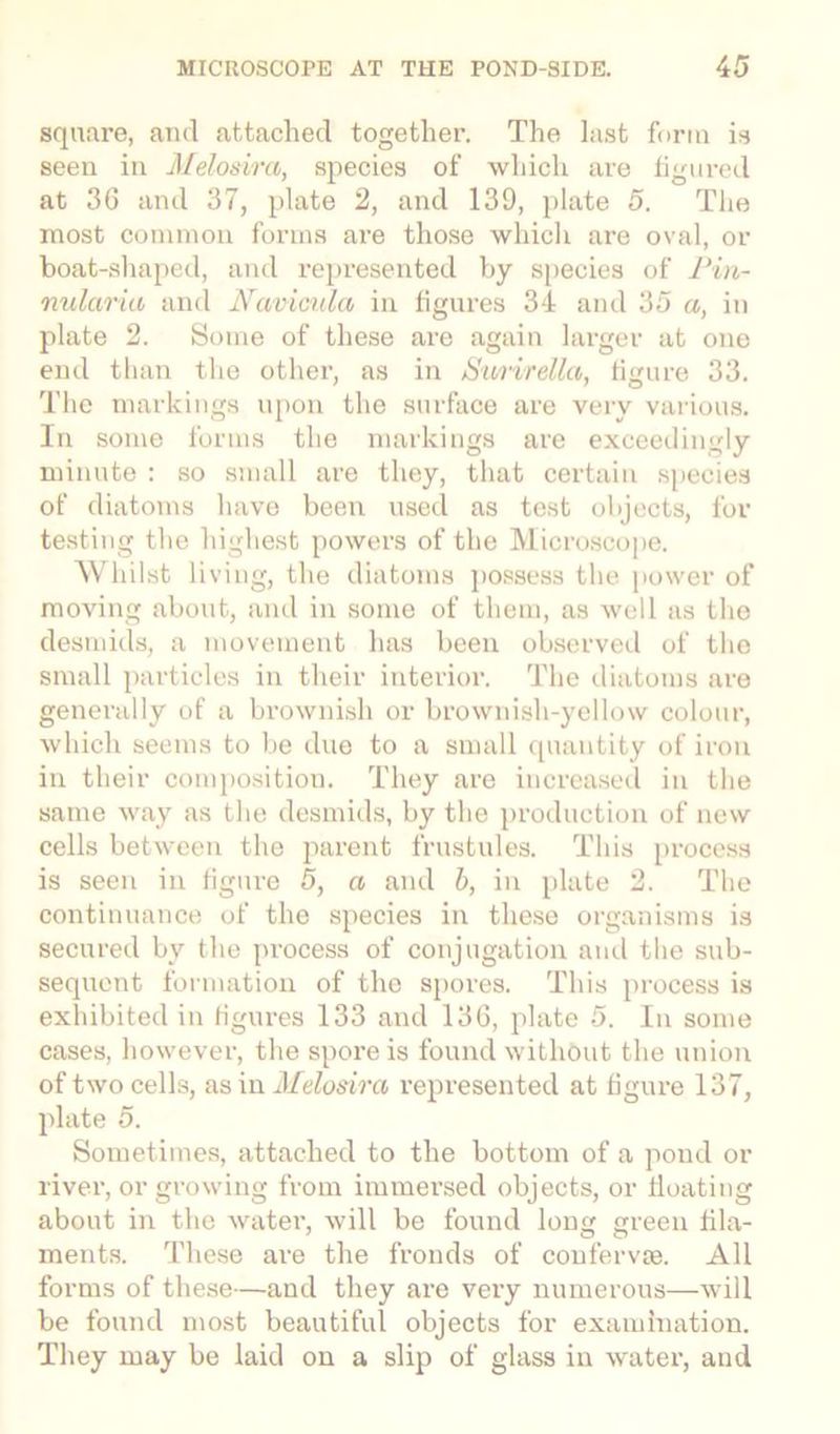 square, and attached together. The last form is seen in Melosira, species of which are figured at 36 and 37, plate 2, and 139, plate 5. The most common forms are those which are oval, or boat-shaped, and represented by species of Pin- nularia and Navicula in figures 34 and 35 a, in plate 2. Some of these are again larger at one end than the other, as in Surirella, figure 33. The markings upon the surface are very various. In some forms the markings are exceedingly minute : so small are they, that certain species of diatoms have been used as test objects, for testing the highest powers of the Microscope. Whilst living, the diatoms possess the power of moving about, and in some of them, as well as the desmids, a movement has been observed of the small particles in their interior. The diatoms are generally of a brownish or brownish-yellow colour, which seems to be due to a small quantity of iron in their composition. They are increased in the same way as the desmids, by the production of new cells between the parent frustules. This process is seen in figure 5, a and b, in plate 2. The continuance of the species in these organisms is secured by the process of conjugation and the sub- sequent formation of the spores. This process is exhibited in figures 133 and 136, plate 5. In some cases, however, the spore is found without the union of two cells, as in Melosira represented at figure 137, plate 5. Sometimes, attached to the bottom of a pond or river, or growing from immersed objects, or floating about in the water, will be found long green fila- ments. These are the fronds of confer vie. All forms of these—and they are very numerous—will be found most beautiful objects for examination. They may be laid on a slip of glass in water, and
