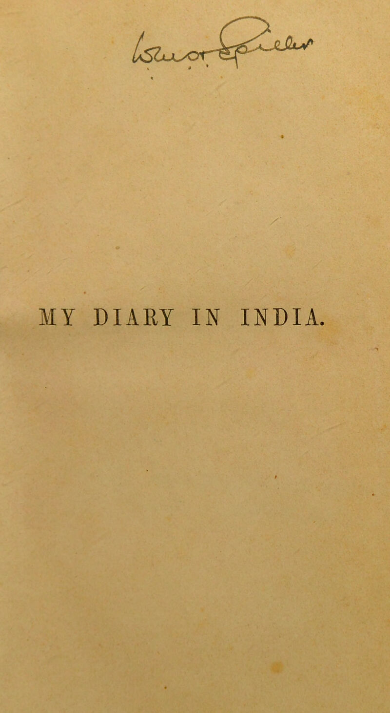 MY DIARY IN INDIA.