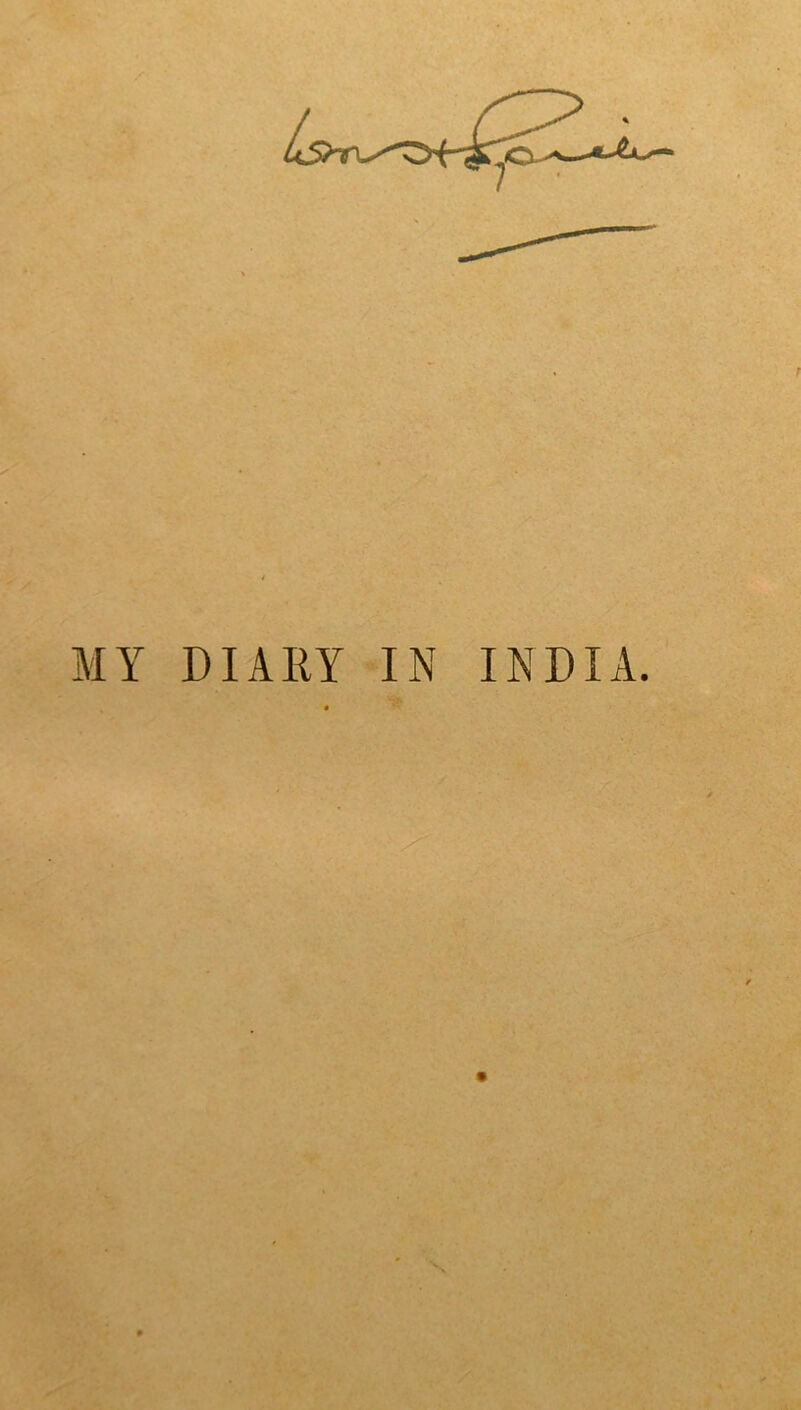 MY DIARY IN INDIA.
