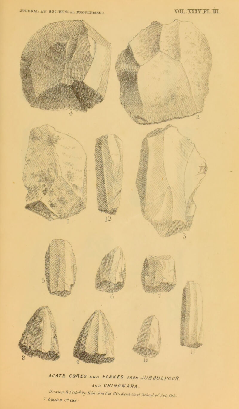 JOllllNAI, AS' SOC BENCALPROCKEniNUS V(JL;TXXOL.Tir. J^LATE, CORES /two FLAKES fROu JOB81/LHOOR. ANf) CHtNDWARA, lh:.vrn DirjlJ.-Ob,- Pa^ >^c.U Coy^ SchocLorArt, Ca&.- T SlaeJf a CUCoU