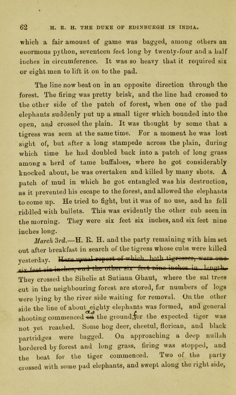 which a fair amount of game was bagged, among others an enormous python, seventeen feet long by twenty-four and a half inches in circumference. It was so heavy that it required six or eight men to lift it on to the pad. The line now beat on in an opposite direction through the forest. The firing was pretty brisk, and the line had crossed to the other side of the patch of forest, when one of the pad elephants suddenly put up a small tiger which bounded into the open, and crossed the plain. It was thought by some that a tigress was seen at the same time. For a moment he was lost sight of, but after a long stampede across the plain, during which time he had doubled back into a patch of long grass among a herd of tame buffaloes, where he got considerably knocked about, he was overtaken and killed by many shots. A patch of mud in which he got entangled was his destruction, as it prevented his escape to the forest, and allowed the elephants to come up. He tried to fight, but it was of no use, and he fell riddled with bullets. This was evidently the other cub seen in the morning. They were six feet six inches, and six feet nine inches long. March 3rd.—H. K. H. and the party remaining with him set out after breakfast in search of the tigress whose cubs were killed yesterday. TJ ^ ^Wl-. lvUh lirrumnon Trnrn nun rjT f--*--h in In Mini lln llr-i 'T r 1 ■ : —- :-t ''Tf-11' They crossed the Sihelie at Sutiana Ghaut, where the sal trees cut in the neighbouring forest are stored, for numbers of logs were lying by the river side waiting for removal. On the other side the line of about eighty elephants was formed, aud general shooting commenced ■#» the ground,‘for the expected tiger was not yet reached. Some hog deer, cheetul, florican, and black partridges were bagged. On approaching a deep nullah bordered by forest and long grass, firing was stopped, and the beat for the tiger commenced. Two of the party crossed with some pad elephants, and swept along the right side,