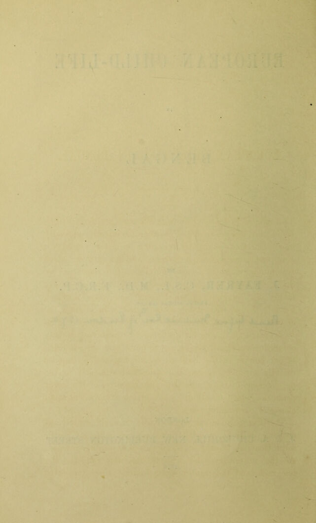 digitised image 2