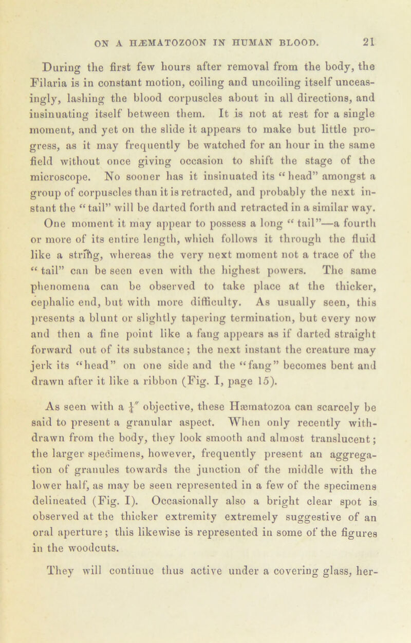 During tlie first few Lours after removal from the body, the Filaria is in constant motion, coiling and uncoiling itself unceas- ingly, lashing the blood corpuscles about in all directions, and insinuatinof itself between them. It is not at rest for a single moment, and yet on the slide it appears to make but little pro- gress, as it may frequently be watched for an hour in the same field without once giving occasion to shift the stage of the microscope. No sooner has it insinuated its “ head” amongst a group of corpuscles than it is retracted, and j)robahly the next in- stant the “tail” will be darted forth and retracted in a similar way. One moment it may appear to possess a long “ tail”—a fourth or more of its entire length, which follows it through the fluid like a strihg, whereas the very next moment not a trace of the “ tail” can be seen even with the highest powers. The same phenomena can be observed to take place at the thicker, cephalic end, but with more difficulty. As usually seen, this ]i)resents a blunt or slightly tapering termination, but every now and then a fine point like a fang appears as if darted straight forward out of its substance; the next instant the creature may jerk its “head” on one side and the “fang” becomes bent ami drawn after it like a ribbon (Fig. I, }>age 15). As seen with a objective, these Hajinatozoa can scarcely be said to present a granular aspect. When only recently with- drawn from the body, they look smooth and almost translucent; the larger specimens, however, frequently present an aggrega- tion of granules towards the junction of the middle Avith the lower half, as may be seen represented in a few of the specimens delineated (Fig. I). Occasionally also a bright clear spot is observed at the thicker extremity extremely suggestive of an oral aperture; this likewise is represented in some of the figures in the woodcuts. They will continue thus active under a covering glass, her-