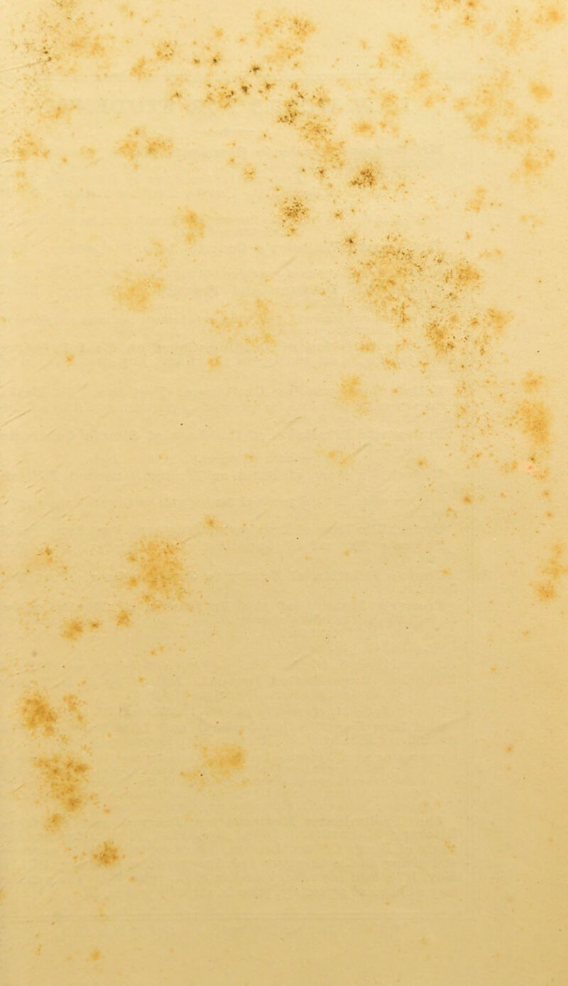 4.#’ V. . ‘ ' ' ' • ' . i*.* • • ' -.V - J.r^ ' »• A • > •t* « ' -Jns- .♦ * 4- ' f I ^ 4^ '' t ' '. . ■ r* •i!*v ■ - :m. . 4 w A . .Cx 9. 4 >9 -X. •4b *' %*• ■ * f %'.c •* 1 % V ?V I ■ ■ •^* i ^- ■ • ■  ' 4it V V ,^4. •H. ■ v + »- V ‘ V ^ -J''■••*'■ • V r7< i ; ■\-'’ 'W'-' ■ »,*• ‘ ■f' < ■ ; 3 .X y W *. *^* ^l2 . ‘ % 4. » ,;t ^y*