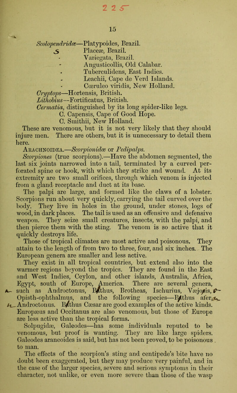2 2 S' 15 Scolopendridce—Platypoides, Brazil. ,5 Placeae, Brazil. Yariegata, Brazil. Angusticollis, Old Calabar. Tuberculidens, East Indies. Leachii, Cape de Yerd Islands. Coeruleo viridis, New Holland. Cryptops—Hortensis, British. Lithobius—Fortificatus, British. Cermatia, distinguished by its long spider-like legs. C. Capensis, Cape of Good Hope. C. Smithii, New Holland. These are venomous, but it is not very likely that they should injure men. There are others, but it is unnecessary to detail them here. Arachnoidea.—Scorpionidce or Pedipalps. Scorpiones (true scorpions).—Have the abdomen segmented, the last six joints narrowed into a tail, terminated by a curved per- forated spine or hook, with which they strike and wound. At its extremity are two small orifices, through which venom is injected from a gland receptacle and duct at its base. The palpi are large, and formed like the claws of a lobster. Scorpions run about very quickly, carrying the tail curved over the body. They live in holes in the ground, under stones, logs of wood, in dark places. The tail is used as an offensive and defensive weapon. They seize small creatures, insects, with the palpi, and then pierce them with the sting. The venom is so active that it quickly destroys life. Those of tropical climates are most active and poisonous. They attain to the length of from two to three, four, and six inches. The European genera are smaller and less active. They exist in all tropical countries, but extend also into the warmer regions beyond the tropics. They are found in the East and West Indies, Ceylon, and other islands, Australia, Africa, Egypt, south of Europe, America. There are several genera, such as Androctonus, B^thus, Brotheas, Ischurius, Ysejo^is, Opisth-ophthalmus, and the following species—B^thus al‘er,^_ Androctonus. B/thus Caesar are good examples of the active kinds. Europaeus and Occitanus are also venomous, but those of Europe are less active than the tropical forms. Solpugidae, Galeodes—has some individuals reputed to be venomous, but proof is wanting. They are like large spiders. Galeodes araneoides is said, but has not been proved, to be poisonous . to man. The effects of the scorpion’s sting and centipede’s bite have no doubt been exaggerated, but they may produce very painful, and in the case of the larger species, severe and serious symptoms in their character, not unlike, or even more severe than those of the wasp