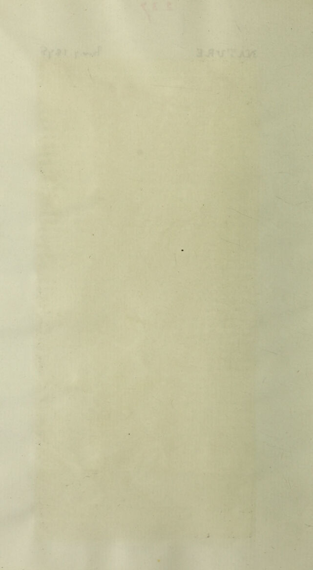digitised image 2