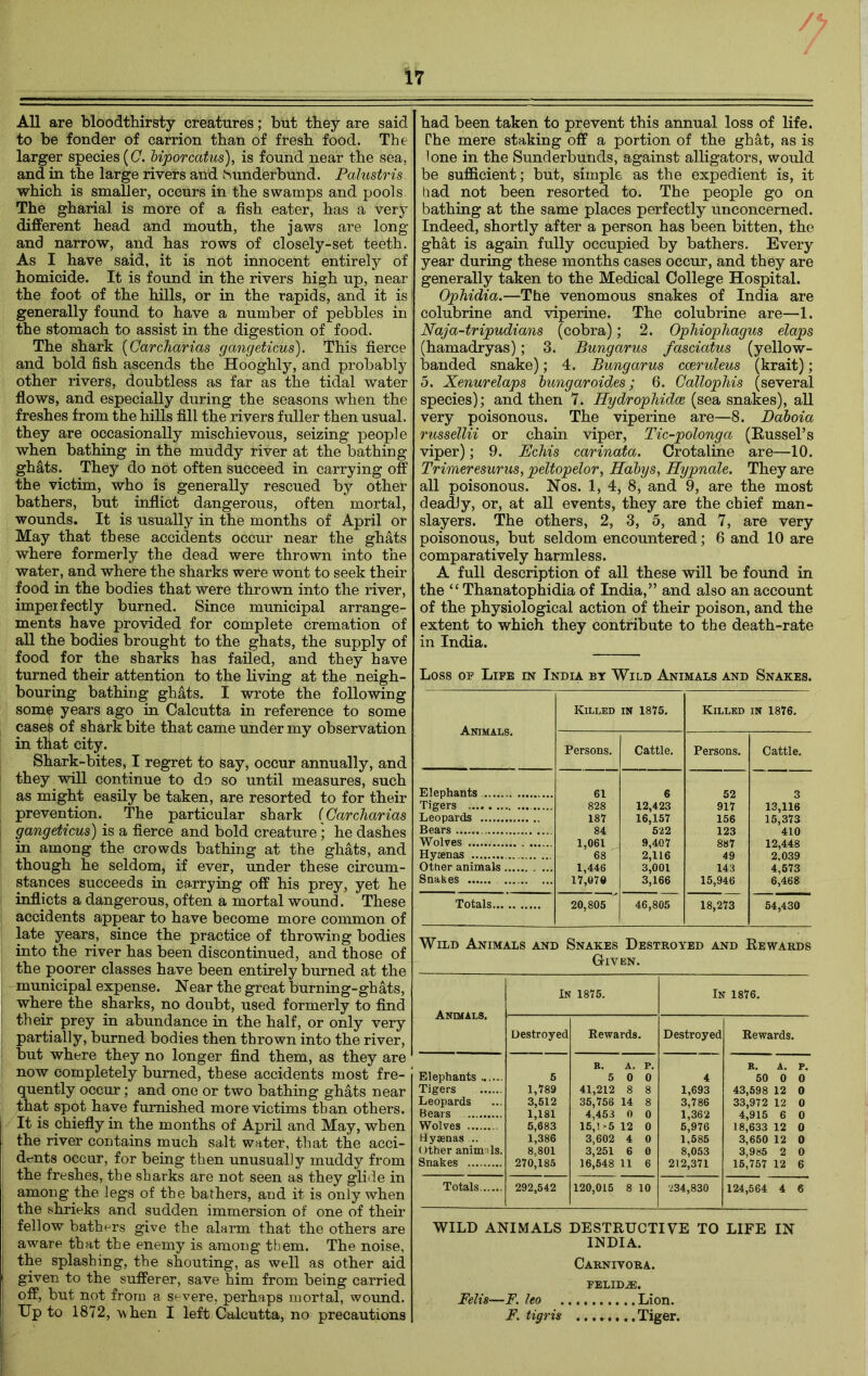 17 AH are bloodthirsty creatures; but they are said larger species (0. biporcatus), is found near the sea, and in the large rivers and hunderbund. Palustris. which is smaller, occurs in the swamps and pools The gharial is more of a fish eater, has a very different head and mouth, the jaws are long and narrow, and has rows of closely-set teeth. homicide. It is found in the rivers high up, near the foot of the hills, or in the rapids, and it is generally found to have a number of pebbles in the stomach to assist in the digestion of food. The shark (Carcharias gangeticus). This fierce and bold fish ascends the Hooghly, and probably other rivers, doubtless as far as the tidal water flows, and especially during the seasons when the freshes from the hills fill the rivers fuller then usual, they are occasionally mischievous, seizing people when bathing in the muddy river at the bathing ghats. They do not often succeed in carrying off the victim, who is generally rescued by other bathers, but inflict dangerous, often mortal, wounds. It is usually in the months of April or May that these accidents occur near the ghats where formerly the dead were thrown into the water, and where the sharks were wont to seek their food in the bodies that were thrown into the river, impeifectly burned. Since municipal arrange- ments have provided for complete cremation of all the bodies brought to the ghats, the supply of food for the sharks has failed, and they have turned their attention to the living at the neigh- bouring bathing ghats. I wrote the following some years ago in Calcutta in reference to some case? of shark bite that came under my observation in that city. Shark-bites, I regret to say, occur annually, and they will continue to do so until measures, such as might easily be taken, are resorted to for their prevention. The particular shark (Carcharias gangeticus) is a fierce and bold creature; he dashes in among the crowds bathing at the ghats, and though he seldom, if ever, under these circum- stances succeeds in carrying off his prey, yet he inflicts a dangerous, often a mortal wound. These accidents appear to have become more common of late years, since the practice of throwing bodies into the river has been discontinued, and those of the poorer classes have been entirely burned at the municipal expense. Near the great burning-ghats, where the sharks, no doubt, used formerly to find their prey in abundance in the half, or only very partially, burned bodies then thrown into the river, but where they no longer find them, as they are now completely burned, these accidents most fre- quently occur; and one or two bathing ghats near that spot have furnished more victims than others. It is chiefly in the months of April and May, when s the river contains much salt water, that the acci- dents occur, for being then unusually muddy from the freshes, the sharks are not seen as they glide in the shrieks and sudden immersion of one of their fellow bathers give the alarm that the others are ! aware that the enemy is among them. The noise, the splashing, the shouting, as well as other aid given to the sufferer, save him from being carried off, but not from a severe, perhaps mortal, wound. Up to 1872, when I left Calcutta, no precautions had been taken to prevent this annual loss of life. lone in the Sunderbunds, against alligators, would be sufficient; but, simple as the expedient is, it had not been resorted to. The people go on bathing at the same places perfectly unconcerned. Indeed, shortly after a person has been bitten, the ghat is again fully occupied by bathers. Every generally taken to the Medical College Hospital. Ophidia.—The venomous snakes of India are colubrine and viperine. The colubrine are—1. Naja-tripudians (cobra); 2. Ophiophagus daps (hamadryas); 3. Bungarus fasciatus (yellow- banded snake); 4. Bungarus cceruleus (krait); 5. Xenurelaps bungaraides; 6. Callophis (several species); and then 7. Hydropludoe (sea snakes), all very poisonous. The viperine are—8. Daboia russellii or chain viper, Tic-polonga (Russel’s viper); 9. Echis carinata. Crotaline are—10. Trimeresurus, peltopelor, Habys, Hypnale. They are all poisonous. Nos. 1, 4, 8, and 9, are the most deadly, or, at all events, they are the chief man- slayers. The others, 2, 3, 5, and 7, are very poisonous, but seldom encountered; 6 and 10 are comparatively harmless. A full description of all these will be found in the ‘£ Thanatophidia of India,” and also an account of the physiological action of their poison, and the extent to which they contribute to the death-rate in India. Loss of Life in India by Wild Animals and Snakes. Animals. Killed in 1875. Killed in 1876. Persons. Cattle. Persons. Cattle. Elephants 61 6 52 3 Tigers 828 12,423 917 13,116 Leopards 187 16,157 156 15,373 Bears 84 522 123 410 Wolves 1,061 9,407 887 12,448 Hyaenas 68 2,116 49 2,039 Other animals...... . ... 1,446 3,001 143 4,573 Snakes ... 17,078 3,166 15,946 6,468 Totals 20,805 46,805 18,273 54,430 Wild Animals and Snakes Destroyed and Rewards Gtven. Animals. IN 1875. In 1876. Destroyed Rewards. Destroyed Rewards. Elephants Tigers Leopards Bears 5 1,789 3,512 1,181 5,683 1,386 8,801 270,185 R. A. P. 5 0 0 41,212 8 8 35,758 14 8 4,453 0 0 15,1 >5 12 0 3,602 4 0 3,251 6 0 16,548 11 6 4 1,693 3,786 1,362 6,976 1,585 8,053 212,371 R. A. P. 50 0 0 43,598 12 0 33,972 12 0 4,915 6 0 18,633 12 0 3,650 12 0 3,985 2 0 15,757 12 6 Wolves Hyaenas .. Other animals. Snakes WILD ANIMALS DESTRUCTIVE TO LIFE IN INDIA. Carnivora. FELIDAE. Felts—F. ho Lion. F. tigris Tiger. V