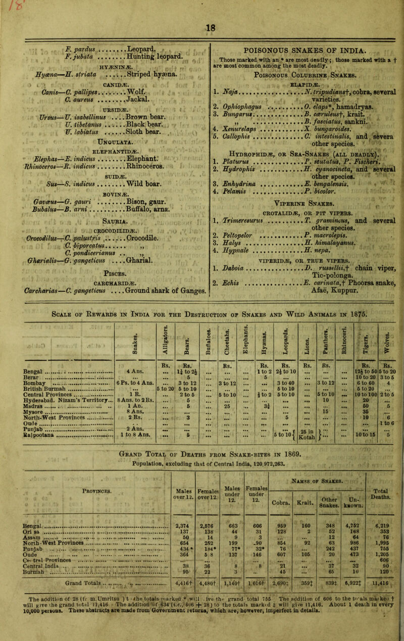 F. pardus Leopard. F. jubata Hunting leopard. HY JENINJE. Hyeena—H. striata Striped hyaena. GANIDJE. Canis—C. pallipes Wolf. C. aureus Jackal. URSIDJE. JJrsus— TJ. isabellinus .... Brown bear. TJ. tibetanus Black bear. W. labiatus Sloth bear. Ungulata. elephAntidje. Flephas—E. indicus Elephant. 7ihinocero8—JR. indicus Rhinoceros. suldje. Sus—S. indicus Wild boar. BOVIN JE. Gavceus—G. gauri Bison, gaur. Bubalus—B. ami Buffalo, arna. Sauria. CROGODILIDJE. Crocodilus—C. palustris Crocodile. C. biporcatus „ C. pondicerianus .. „ Oharialis—G. gangeticus .... Gharial. Pisces. gargharidje. Carcharias—C. gangeticus .... Ground shark of Ganges. POISONOUS SNAKES OF INDIA. Those marked with an * are most deadly; those marked with a f are most common among the most deadly. Poisonous Colubrine Snakes, elapidje. 1. Naja N. tripudiamf, cobra, several varieties. 2. Ophiophagus 0. elaps*, hamadryas. 3. Bungarus B. cceruleusf, krait. „ B. fasciatus, sankni. 4. Xenurelaps X bungaroides. 5. Callophis G. intestinalis, and severa other species. Hydrophidje, or Sea-Snakes (all deadly). 1. Flaturus T. scutatus, P. Fischert. 2. Hydropliis H. cyanocincta, and several other species. 3. Enhydrina E. bengalensis. 4. Pelamis P. bicolor. Viperine Snakes. GROTALIDAS, OR PIT VIPERS. 1. Trimeresurus T. gramincm, and several other species. 2. Peltopelor P. macrolepis. 3. Halys H. himalayanus. 4. Hypnale H. nepa. VIPERIDJE, OR TRUE VIPERS. 1. Baboia B. russellii.f chain viper, Tic-polonga. 2. Echis E. carinata.f Phoorsa snake, Afae, Kuppur. Scale of Rewards in India for the Destruction of Snakes and Wild Animals in 1875. Snakes. Alligators. Bears. Buffaloes. Cheetahs. Elephants. Hyaenas. Leopards. Lions. Panthers. Rhinoceri. Tigers. Wolves. Rs. Rs. Rs. Rs. Rs. Rs. Rs. Rs. Rs. Bengal L 4 Ans. 1| to 2£ lto 2 2£ to 10 l2£to 50 5 to 20 Herar 5 5 10 to 20 3 to 5 Bombay 6 Ps. to 4 Ans. 3 to 12 3 to 12 3 to 40 3 to 12 6 to 60 4 British Burmah ... 5 to 20 1 5 to 10 5 to 10 ... 6 to 20 Central Provinces 1 R. ... 2 to 5 5 to 10 £ to 2 5 to 10 5 to 10 10 to 100 2 to 5 Hyderabad. Nizam’s Territory... 8 Ans. to 2Rs. ... 5 ... 10 20 Madras ......... 1 An. ... . 5 25 si ... 50 *5 8 Ans. 15 35 North-West Provinces 2 Rs. • •• 3 ... 5 10 *6 Oude ......I M • •• 1 to 6 Punjab ...[ 2 Ans. ••• 1 ... ... ... # 25 in 1 Rajpootana 1 to 8 Ans. ... j 5 ! 1 ... 5 to 101 Kotah }... 10 to 16 *5 Grand Total of Deaths from Snake-bites in 1869. Population, excluding that of Central India, 120.972,263. Provinces. Males over 12. Females over 12. Males under 12. Females under 12. Names of Snakes. Total Deaths. Cobra. Krait. Other Snakes. Un- known. Bengal 2,374 2,676 663 606 959 160 348 4,752 6,219 flri sa 137 138 44 31 128 2 52 168 353 Assam -t 50 14 9 3 12 64 76 North-West Provinces 654 262 199 .90 854 *92 63 986 1,995 Punjab ... 434* 184* 77* 32* 76 242 437 755 Oude 364 5 8 137 146 607 105 20 473 1,205 Ce> tr«l Provinces ... 606 Central India 38 36 8 ”'8 21 ... 37 32 90 Burmah 95 22 3 45 65 10 120 Grand Totals 4,416 + 4,480+ i,i4o+ 1.0i6+ 2,690+ 359J 839+ 6,922J 11,416 The addition of 28 (fr m Umritsu ) t '4he totals marked * will . ive th<- grand totai 755 The addition of 606 to the to-als mar ken f will give the grand total 11,416 The additioh'6f 634 (i.e.,;6u6 + 28) to the totals mark*d + will give 11,416. About 1 deaih in every 10,000 persons. These abstracts are made from Government returns, which are, however, imperfect in details.