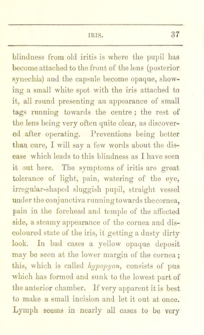 blindness from old iritis is where the pupil has become attached to the front of the lens (posterior synechia) and the capsule become opaque, show- ing a small white spot with the iris attached to it, all round presenting an appearance of small tags running towards the centre ; the rest of the lens being very often quite clear, as discover- ed after operating. Preventions being better than cure, I will say a few words about the dis- ease which leads to this blindness as I have seen it out here. The symptoms of iritis are great tolerance of light, pain, watering of the eye, irregular-shaped sluggish pupil, straight vessel under the conjunctiva running towards thecornea, pain in the forehead and temple of the affected side, a steamy appearance of the cornea and dis- coloured state of the iris, it getting a dusty dirty look. In bad cases a yellow opaque deposit may be seen at the lower margin of the cornea; this, which is called hypopyon, consists of pus which has formed and sunk to the lowest part of the anterior chamber. If very apparent it is best to make a small incision and let it out at once. Lymph seems in nearly all cases to be very