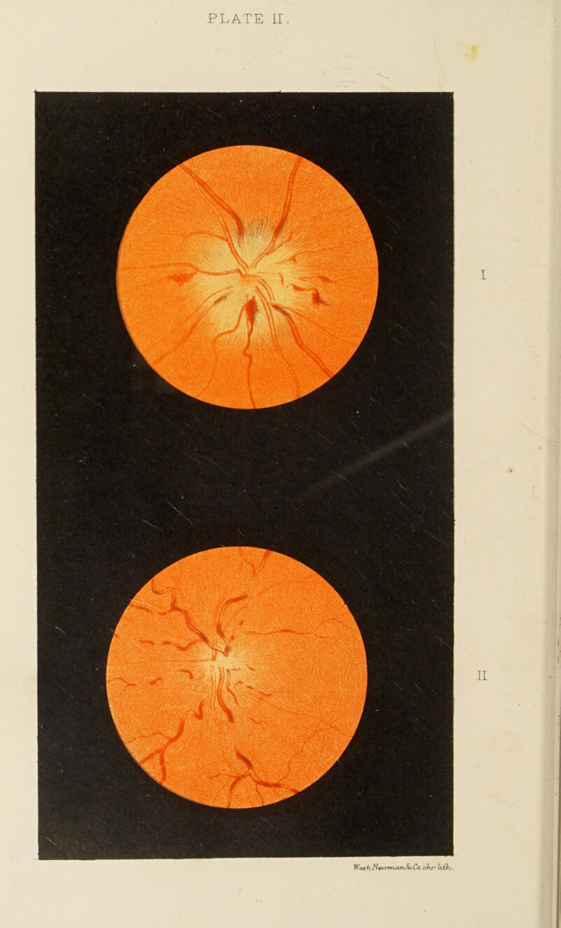 Weob Nmwuwvlfc. Co. ohr: Tzih-.