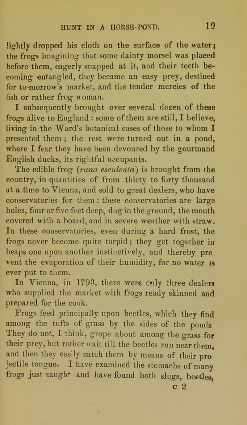 10 lightly dropped his cloth on the surface of the water; the frogs imagining that some dainty morsel was placed before them, eagerly snapped at it, and their teeth be- coming entangled, they became an easy prey, destined for to-morrow’s market, and the tender mercies of the fish or rather frog woman. I subsequently brought over several dozen of these frogs alive to England : some of them are still, I believe, living in the Ward’s botanical cases of those to whom I presented them ; the rest were turned out in a pond, where I fear they have been devoured by the gourmand English ducks, its rightful occupants. The edible frog (rana esculent a) is brought from the country, in quantities of from thirty to forty thousand at a time to Vienna, and sold to great dealers, who have conservatories for them : these conservatories are large holes, four or five feet deep, dug in the ground, the mouth covered with a board, and in severe weather with straw. In these conservatories, even during a hard frost, the frogs never become quite torpid; they get together in heaps one upon another instinctively, and thereby pre vent the evaporation of their humidity, for no water is ever put to them. In Vienna, in 1793, there were only three dealers who supplied the market with frogs ready skinned and prepared for the cook. Frogs feed principally upon beetles, which they find among the tufts of grass by the sides of the ponds They do not, I think, grope about among the grass for their prey, but rather wait till the beetles run near them, and then they easily catch them by means of their pro jectile tongue. I have examined the stomachs of many frogs just caughr aud have found both slugs, beetles,