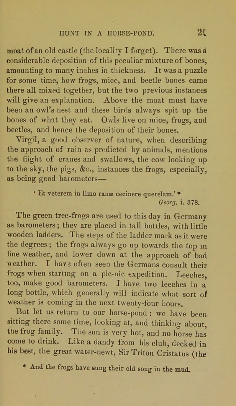 moat of an old castle (the locality I forget). There was a considerable deposition of this peculiar mixture of bones, amounting to many inches in thickness. It was a puzzle for some time, how frogs, mice, and beetle bones came there all mixed together, but the two previous instances will give an explanation. Above the moat must have been an owl’s nest and these birds always spit up the bones of what they eat. Owls live on mice, frogs, and beetles, and hence the deposition of their bones. Virgil, a good observer of nature, when describing the approach of rain as predicted by animals, mentions the flight of cranes and swallows, the cow looking up to the sky, the pigs, &c., instances the frogs, especially, as being good barometers— ‘ Et veterem in limo ran® cecinere querelam.’ * Georg, i. 378. The green tree-frogs are used to this day in Germany as barometers; they are placed in tall bottles, with little wooden ladders. The steps of the ladder mark as it were the degrees; the frogs always go up towards the top in fine weather, and lower down at the approach of bad weather. I havj often seen the Germans consult their frogs when starting on a pic-nic expedition. Leeches, too, make good barometers. I have two leeches in a long bottle, which generally will indicate what sort of weather is coming in the next twenty-four hours. But let us return to our horse-pond : we have been sitting there some tin.e, looking at, and thinking about, the frog family. The sun is very hot, and no horse has come to drink. Like a dandy from his club, decked in his best, the great water-newt, Sir Triton Cristatus (the • And the frogs have sung their old song in the mud.