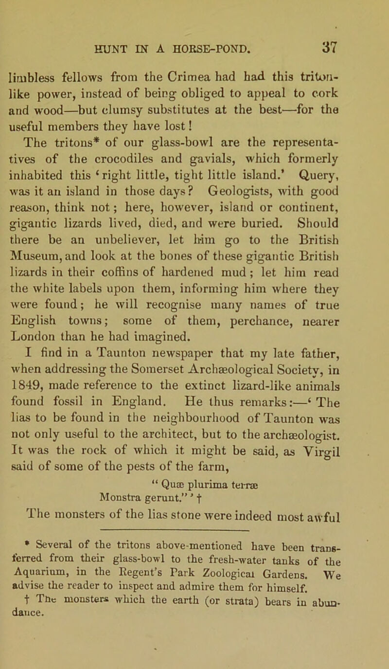 limbless fellows from the Crimea had had this triton- like power, instead of being obliged to appeal to cork and wood—but clumsy substitutes at the best—for the useful members they have lost! The tritons* of our glass-bowl are the representa- tives of the crocodiles and gavials, which formerly inhabited this ‘right little, tight little island.’ Query, was it an island in those days? Geologists, with good reason, think not; here, however, island or continent, gigantic lizards lived, died, and were buried. Should there be an unbeliever, let him go to the British Museum, and look at the bones of these gigantic British lizards in their coffins of hardened mud; let him read the white labels upon them, informing him where they were found; he will recognise many names of true English towns; some of them, perchance, nearer London than he had imagined. I find in a Taunton newspaper that my late father, when addressing the Somerset Archaeological Society, in 1849, made reference to the extinct lizard-like animals found fossil in England. He thus remarks:—‘The lias to be found in the neighbourhood of Taunton was not only useful to the architect, but to the archaeologist. It was the rock of which it might be said, as Virgil said of some of the pests of the farm, “ Quec plurima terra: Monstra gerunt.” ’ f The monsters of the lias stone were indeed most awful * Several of the tritons above-mentioned have been trans- ferred from their glass-bowl to the fresh-water tanks of the Aquarium, in the Regent’s Park Zoological Gardens. We advise the reader to inspect and admire them for himself. f Tnc monsters which the earth (or strata) bears in abun- dance.