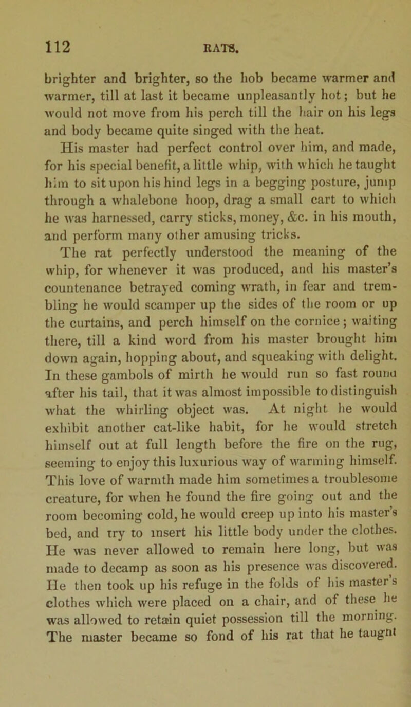 brighter and brighter, so the hob became warmer and warmer, till at last it became unpleasantly hot; but he would not move from his perch till the hair on his legs and body became quite singed with the heat. His master had perfect control over him, and made, for his special benefit, a little whip, with which he taught him to sit upon his hind legs in a begging posture, jump through a whalebone hoop, drag a small cart to w'hich he was harnessed, carry sticks, money, &c. in his mouth, and perform many other amusing tricks. Tire rat perfectly understood the meaning of the whip, for whenever it was produced, and his master’s countenance betrayed coming wrath, in fear and trem- bling he would scamper up the sides of the room or up the curtains, and perch himself on the cornice; waiting there, till a kind word from his master brought him down again, hopping about, and squeaking with delight. In these gambols of mirth he would run so fast rounu after his tail, that it was almost impossible to distinguish what the whirling object was. At night lie would exhibit another cat-like habit, for he would stretch himself out at full length before the fire on the rug, seeming to enjoy this luxurious way of warming himself. This love of warmth made him sometimes a troublesome creature, for when he found the fire going out and the room becoming cold, he would creep up into his master’s bed, and try to insert his little body under the clothes. He was never allowed to remain here long, but was made to decamp as soon as his presence was discovered. He then took up his refuge in the folds of his master s clothes which were placed on a chair, and of these he was allowed to retain quiet possession till the morning. The master became so fond of his rat that he taugnt