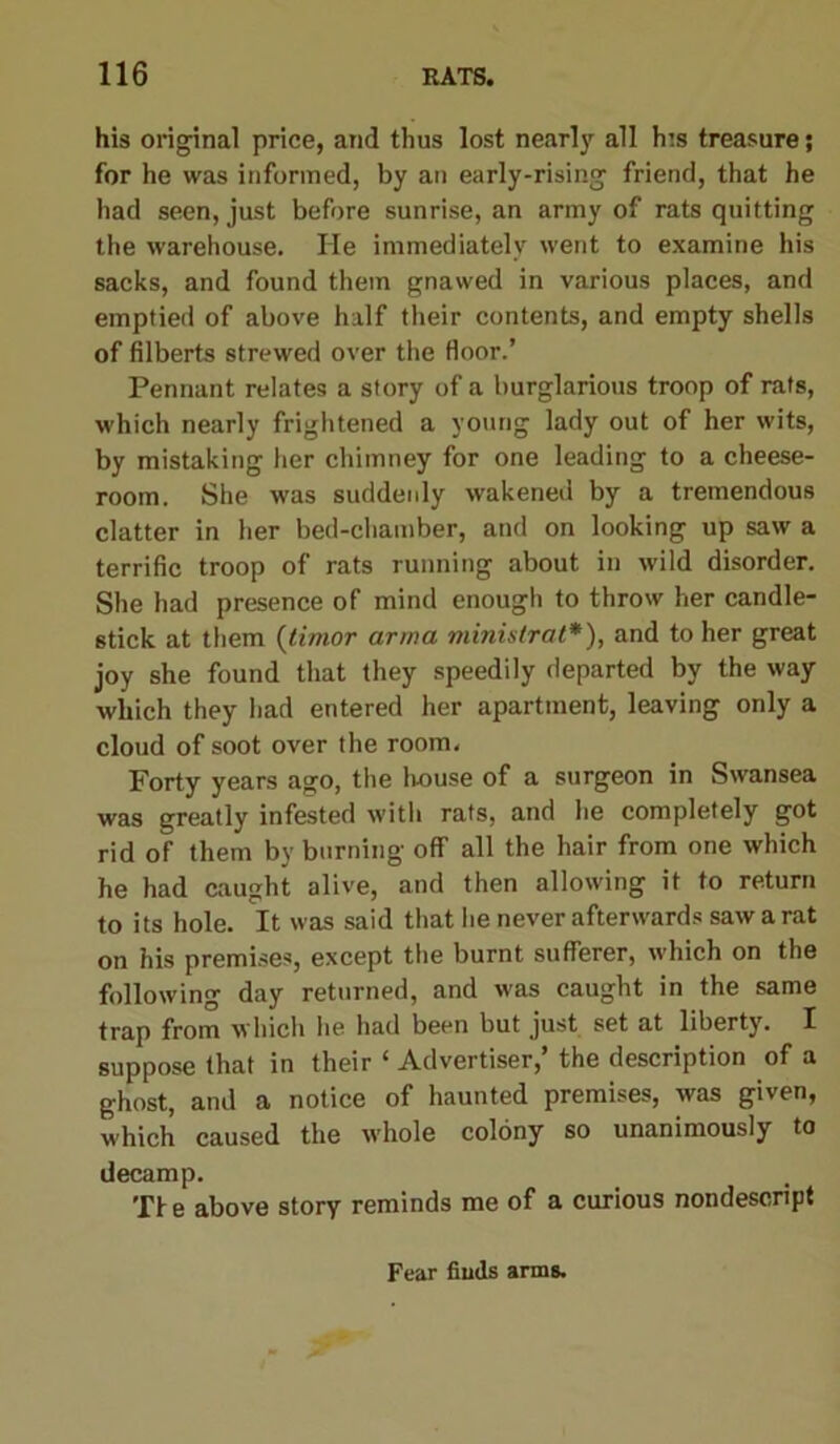 his original price, and thus lost nearly all h:s treasure; for he was informed, by an early-rising friend, that he had seen, just before sunrise, an army of rats quitting the warehouse. He immediately went to examine his sacks, and found them gnawed in various places, and emptied of above half their contents, and empty shells of filberts strewed over the floor.’ Pennant relates a story of a burglarious troop of rats, which nearly frightened a young lady out of her wits, by mistaking her chimney for one leading to a cheese- room. She was suddenly wakened by a tremendous clatter in her bed-chamber, and on looking up saw a terrific troop of rats running about in wild disorder. She had presence of mind enough to throw her candle- stick at them (timor arma ministral*), and to her great joy she found that they speedily departed by the way which they had entered her apartment, leaving only a cloud of soot over the room. Forty years ago, the house of a surgeon in Swansea was greatly infested with rats, and lie completely got rid of them by burning off all the hair from one which he had caught alive, and then allowing it to return to its hole. It was said that lie never afterwards saw a rat on his premises, except the burnt sufferer, which on the following day returned, and was caught in the same trap from which he had been but just set at liberty. I suppose that in their * Advertiser, the description of a ghost, and a notice of haunted premises, was given, which caused the whole colony so unanimously to decamp. Tfe above story reminds me of a curious nondescript Fear finds arms.