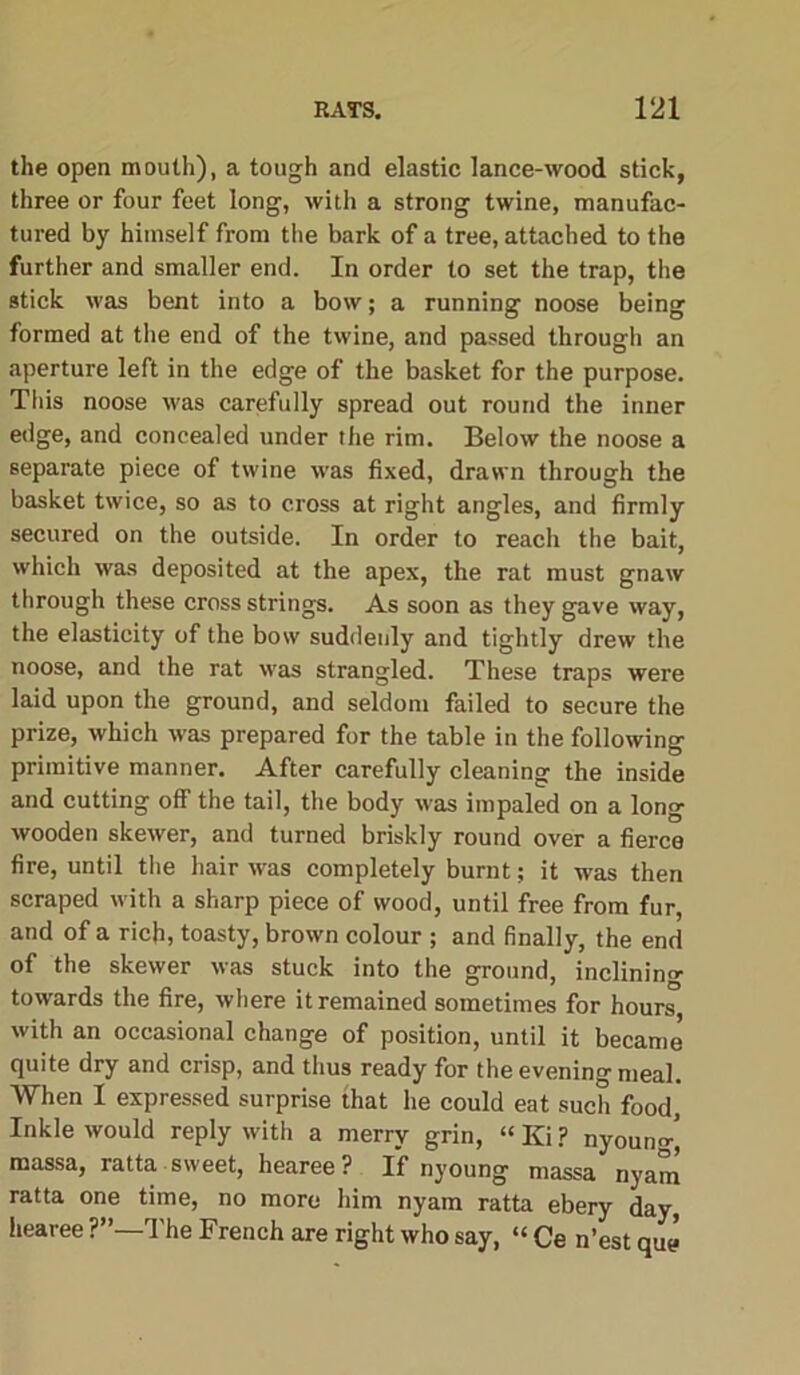 the open mouth), a tough and elastic lance-wood stick, three or four feet long, with a strong twine, manufac- tured by himself from the bark of a tree, attached to the further and smaller end. In order to set the trap, the stick was bent into a bow; a running noose being formed at the end of the twine, and passed through an aperture left in the edge of the basket for the purpose. This noose was carefully spread out round the inner edge, and concealed under the rim. Below the noose a separate piece of twine was fixed, drawn through the basket twice, so as to cross at right angles, and firmly secured on the outside. In order to reach the bait, which was deposited at the apex, the rat must gnaw through these cross strings. As soon as they gave way, the elasticity of the bow suddenly and tightly drew the noose, and the rat was strangled. These traps were laid upon the ground, and seldom failed to secure the prize, which was prepared for the table in the following primitive manner. After carefully cleaning the inside and cutting off the tail, the body was impaled on a long wooden skewer, and turned briskly round over a fierce fire, until the hair was completely burnt; it was then scraped with a sharp piece of wood, until free from fur, and of a rich, toasty, brown colour ; and finally, the end of the skewer was stuck into the ground, inclining towards the fire, where it remained sometimes for hours', with an occasional change of position, until it became quite dry and crisp, and thus ready for the evening meal. When I expressed surprise that he could eat such food. Inkle would reply with a merry grin, “ Ki ? nyoun<r’ massa, ratta sweet, hearee? If nyoung massa nyam ratta one time, no more him nyam ratta ebery day, hearee ?”—The French are right who say, “ Ce n’est quj