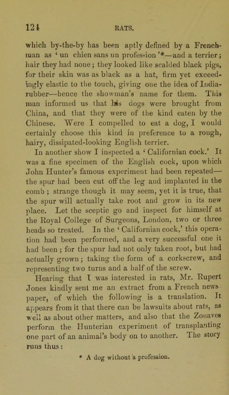 which by-the-by has been aptly defined by a French- man as ‘ un chien sans un profession,#—and a terrier; hair they had none; they looked like scalded black pigs, for their skin was as black as a hat, firm yet exceed- ingly elastic to the touch, giving one the idea of India- rubber—hence the showman’s name for them. This man informed us that bis dogs were brought from China, and that they were of the kind eaten by the Chinese. AYere I compelled to eat a dog, I would certainly choose this kind in preference to a rough, hairy, dissipated-looking English terrier. In another show I inspected a ‘ Californian cock.’ It was a fine specimen of the English cock, upon which John Hunter’s famous experiment had been repeated— the spur had been cut off the leg and implanted in the comb ; strange though it may seem, yet it is true, that the spur will actually take root and grow in its new place. Let the sceptic go and inspect for himself at the Royal College of Surgeons, London, two or three heads so treated. In the ‘ Californian cock,’ this opera- tion had been performed, and a very successful one it had been ; for the spur had not only taken root, but had actually grown; taking the form of a corkscrew, and representing two turns and a half of the screw. Hearing that I was interested in rats, Mr. Rupert Jones kindly sent me an extract from a French news paper, of which the following is a translation. It appears from it that there can be lawsuits about rats, as well as about other matters, and also that the Zouaves perform the Hunterian experiment of transplanting one part of an animal’s body on to another. I he story runs thus: A dog without a profession.