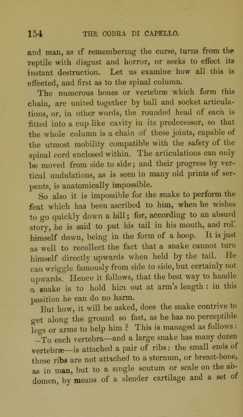 and inan, as if remembering the curse, turns from the reptile with disgust and horror, or seeks to effect its instant destruction. Let us examine how all this is effected, and first as to the spinal column. The numerous bones or vertebral which form this chain, are united together by ball and socket articula- tions, or, in other words, the rounded head of each is fitted into a cup-like cavity in its predecessor, so that the whole column is a chain of these joints, capable of the utmost mobility compatible with the safety of the spinal cord enclosed within. The articulations can only be moved from side to side; and their progress by ver- tical undulations, as is seen in many old prints of ser- pents, is anatomically impossible. So also it is impossible for the snake to perform the feat which has been ascribed to him, when he wishes to go quickly down a hill; for, according to an absurd story, he is said to put his tail in his mouth, and rol_ himself down, being in the form of a hoop. It is just as well to recollect the fact that a snake cannot turn himself directly upwards when held by the tail. He can wriggle famously from side to side, but certainly not upwards.” Hence it follows, that the best way to handle a snake is to hold him out at arm’s length : in this position he can do no harm. But how, it will be asked, does the snake contrive to get along the ground so fast, as he has no perceptible legs or arms to help him ? This is managed as follows: -To each vertebra—and a large snake has many dozen vertebrae—is attached a pair of ribs: the small ends of these ribs are not attached to a sternum, or breast-bone, as in man, but to a single scutum or scale on the ab- domen, by means of a slender cartilage and a set of
